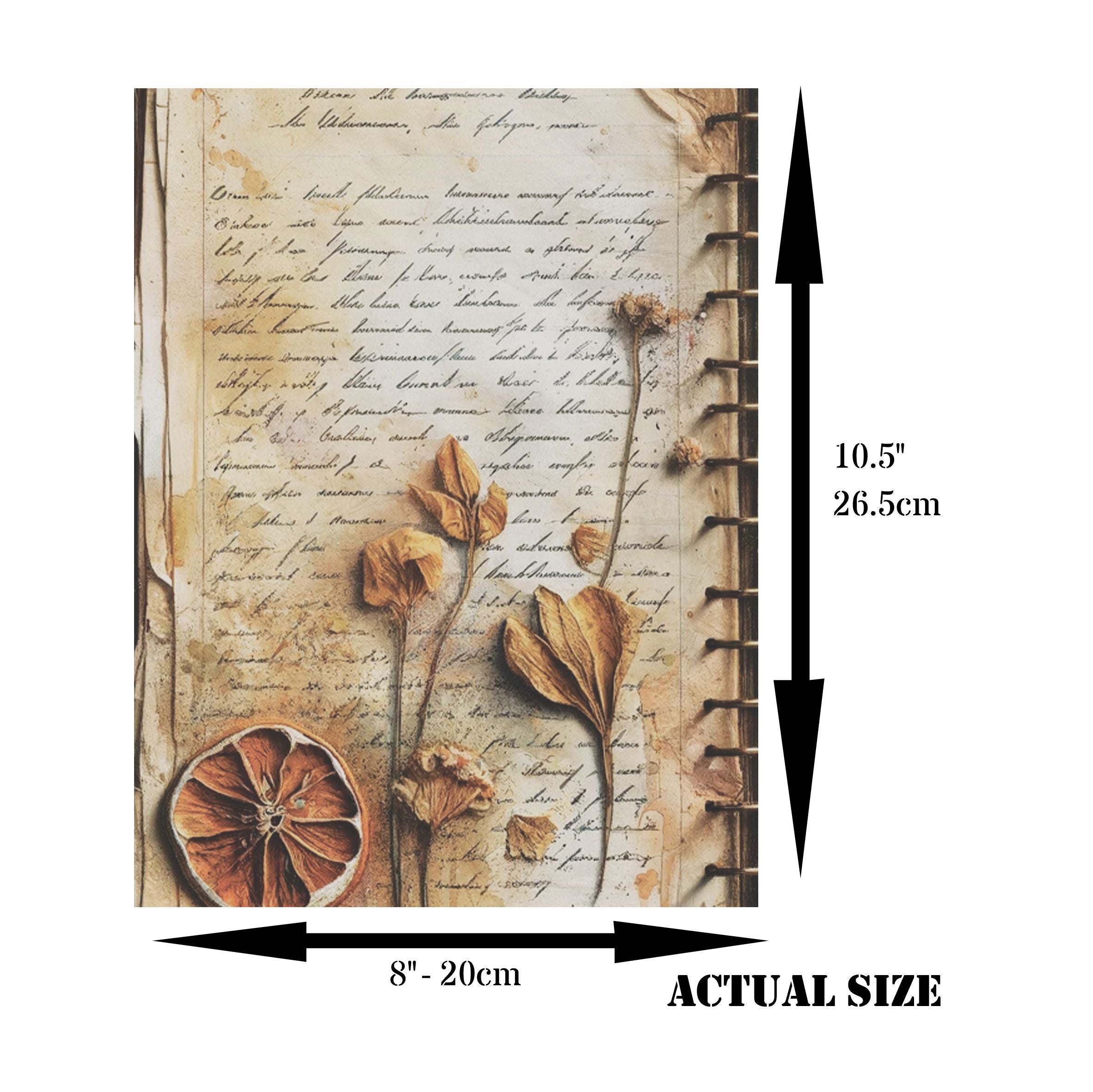 Dried Fruit Rice Paper, 20.32 x 26.67 cm - for Decoupage Scrapbooking Cards Crafts