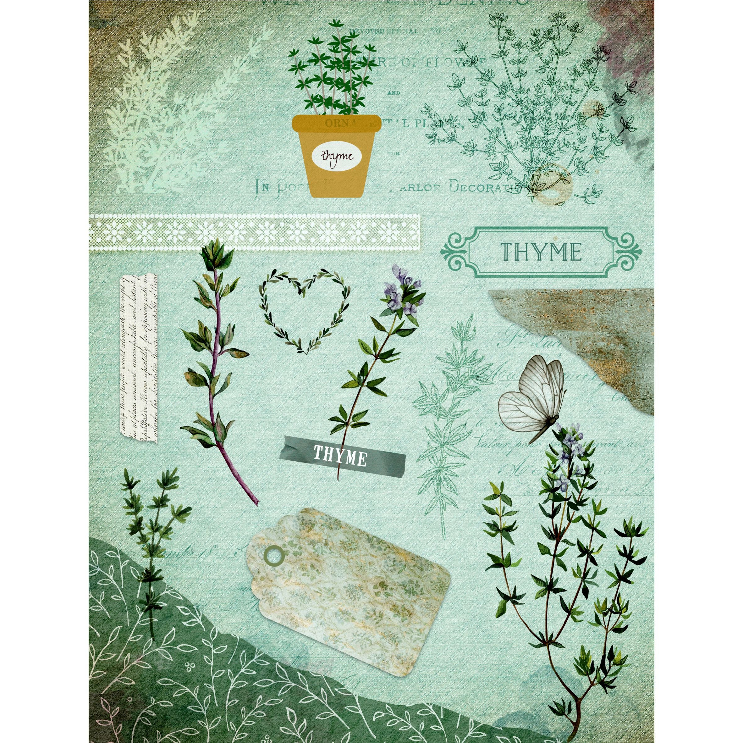 Herbs Decoupage Rice Paper, 20.32 x 26.67 cm - for Decoupage Scrapbooking Craft