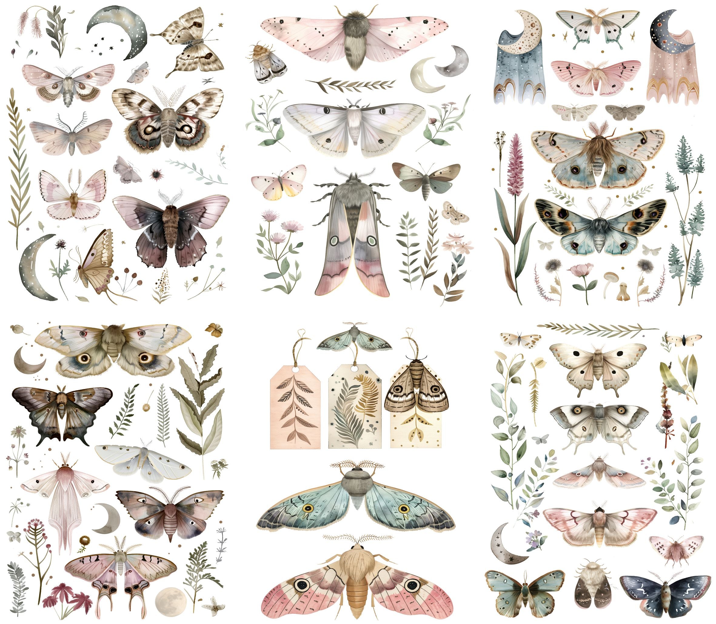 Moths Decoupage Rice Paper, 20.32 x 26.67 cm - for Decoupage Scrapbooking Craft