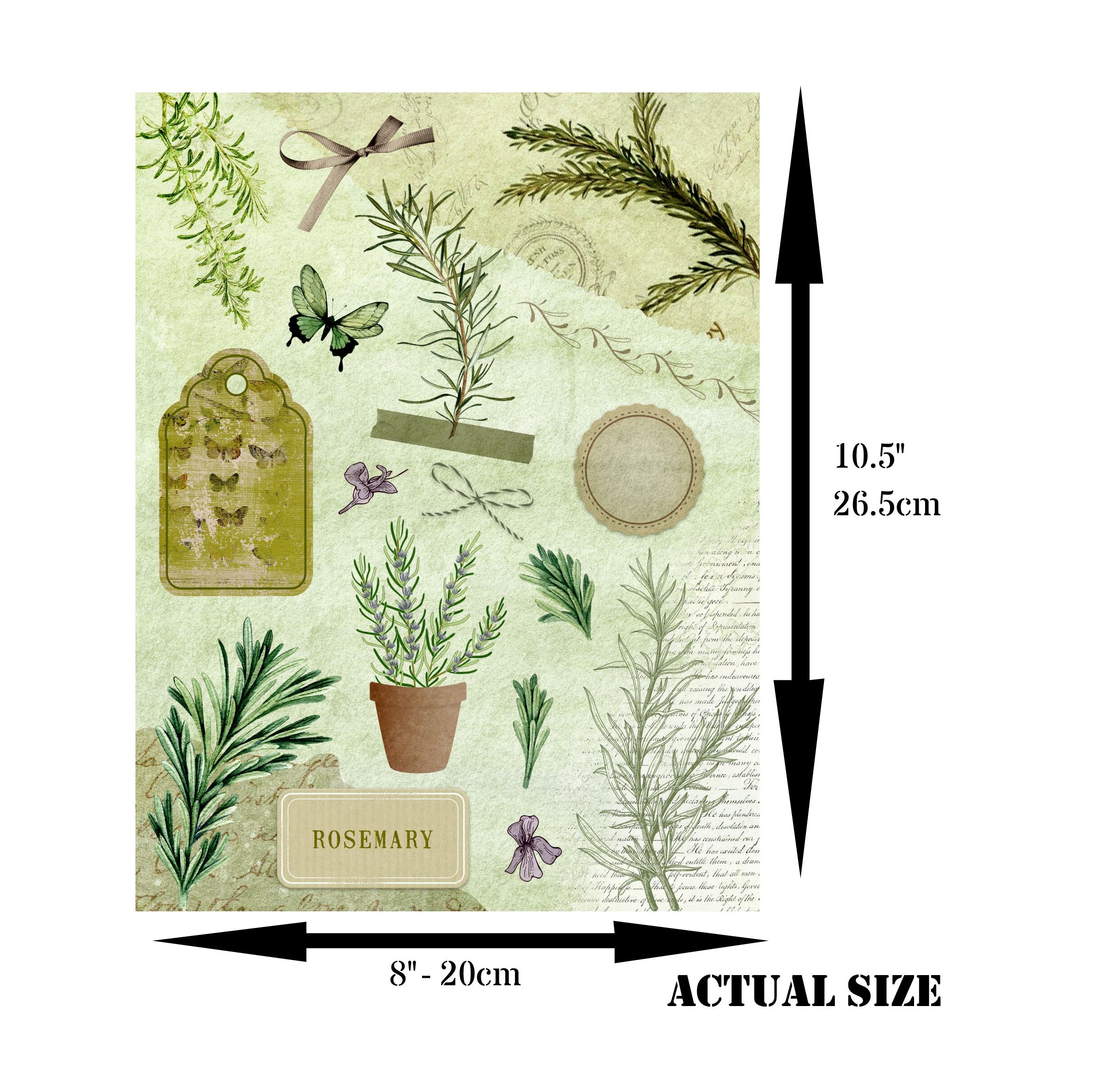 Herbs Decoupage Rice Paper, 20.32 x 26.67 cm - for Decoupage Scrapbooking Craft
