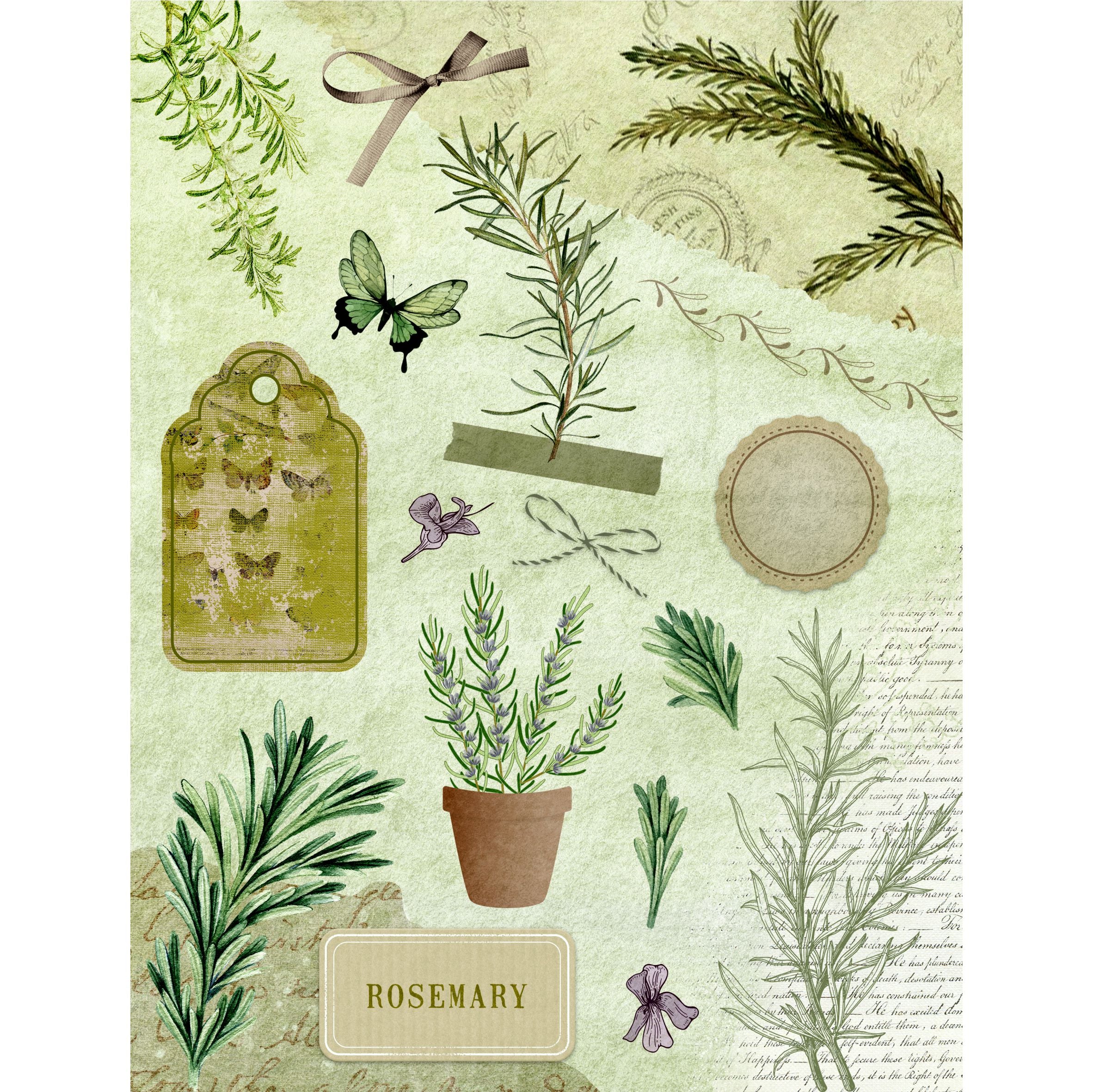 Herbs Decoupage Rice Paper, 20.32 x 26.67 cm - for Decoupage Scrapbooking Craft