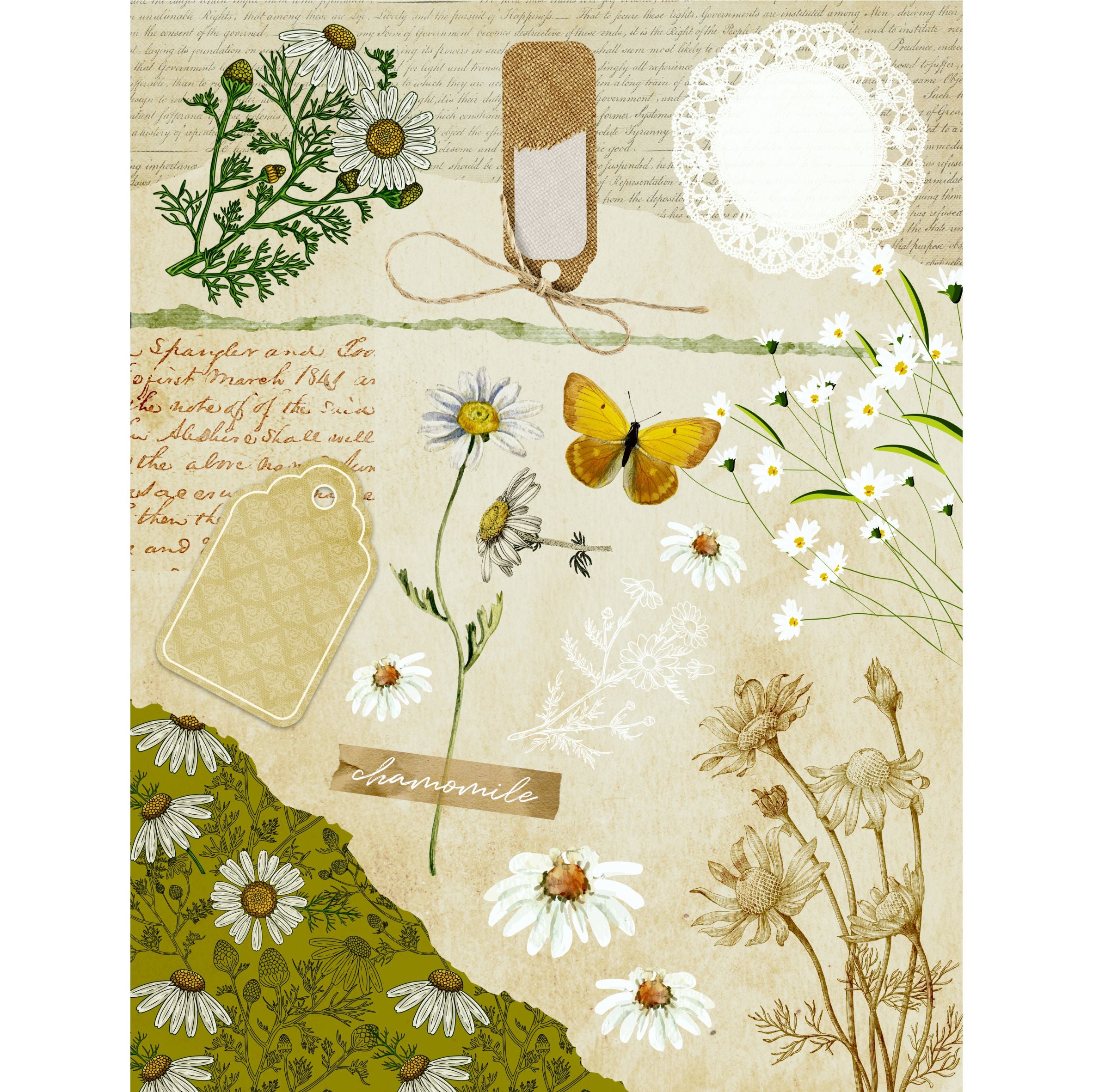 Herbs Decoupage Rice Paper, 20.32 x 26.67 cm - for Decoupage Scrapbooking Craft