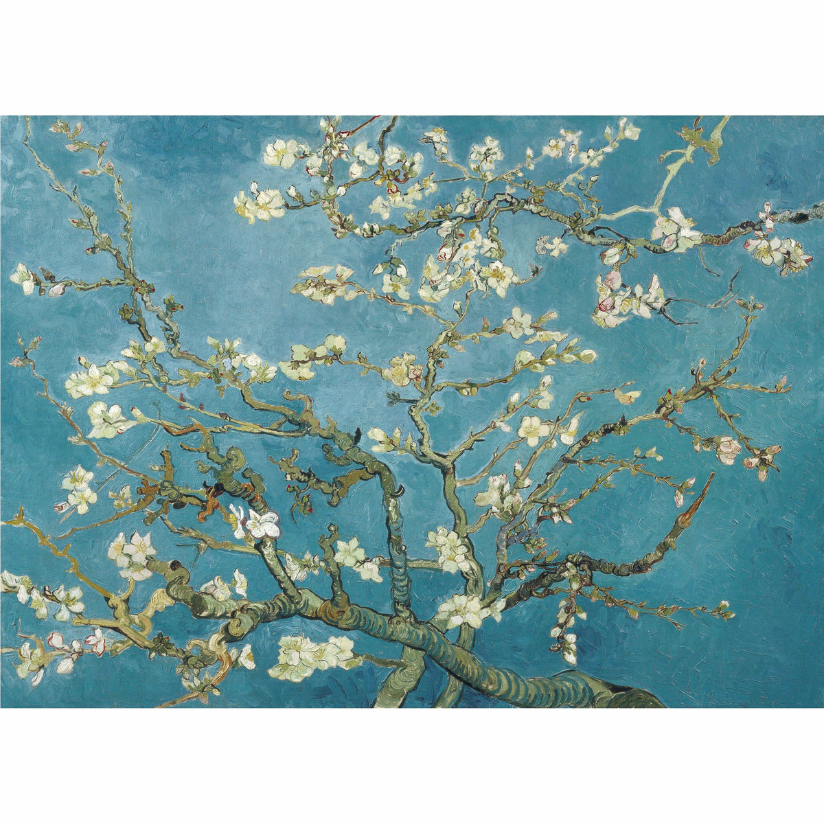 Blossom Rice Paper, 29.21 x 40.64 cm - for Decoupage Print Crafts