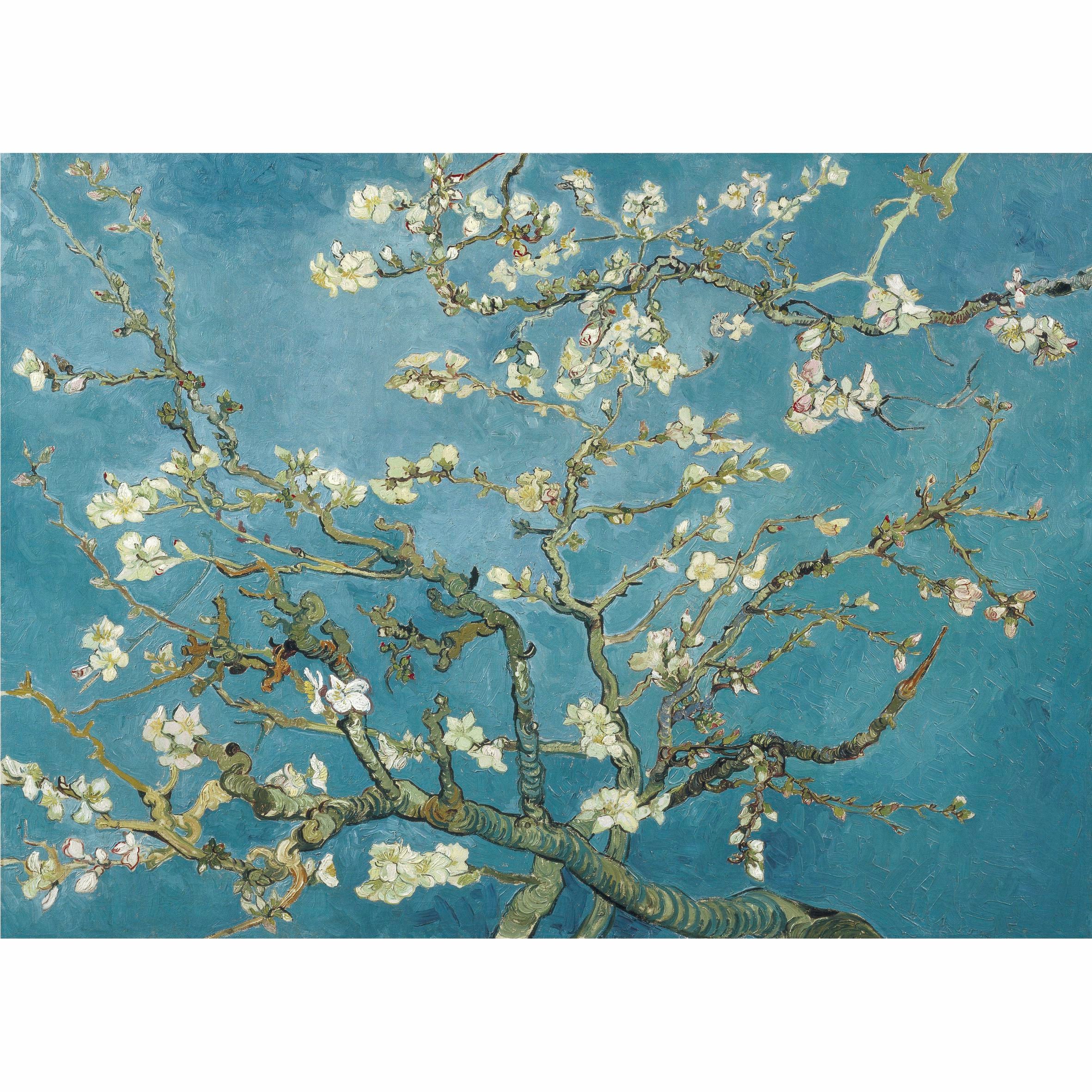 Blossom Rice Paper, 29.21 x 40.64 cm - for Decoupage Print Crafts