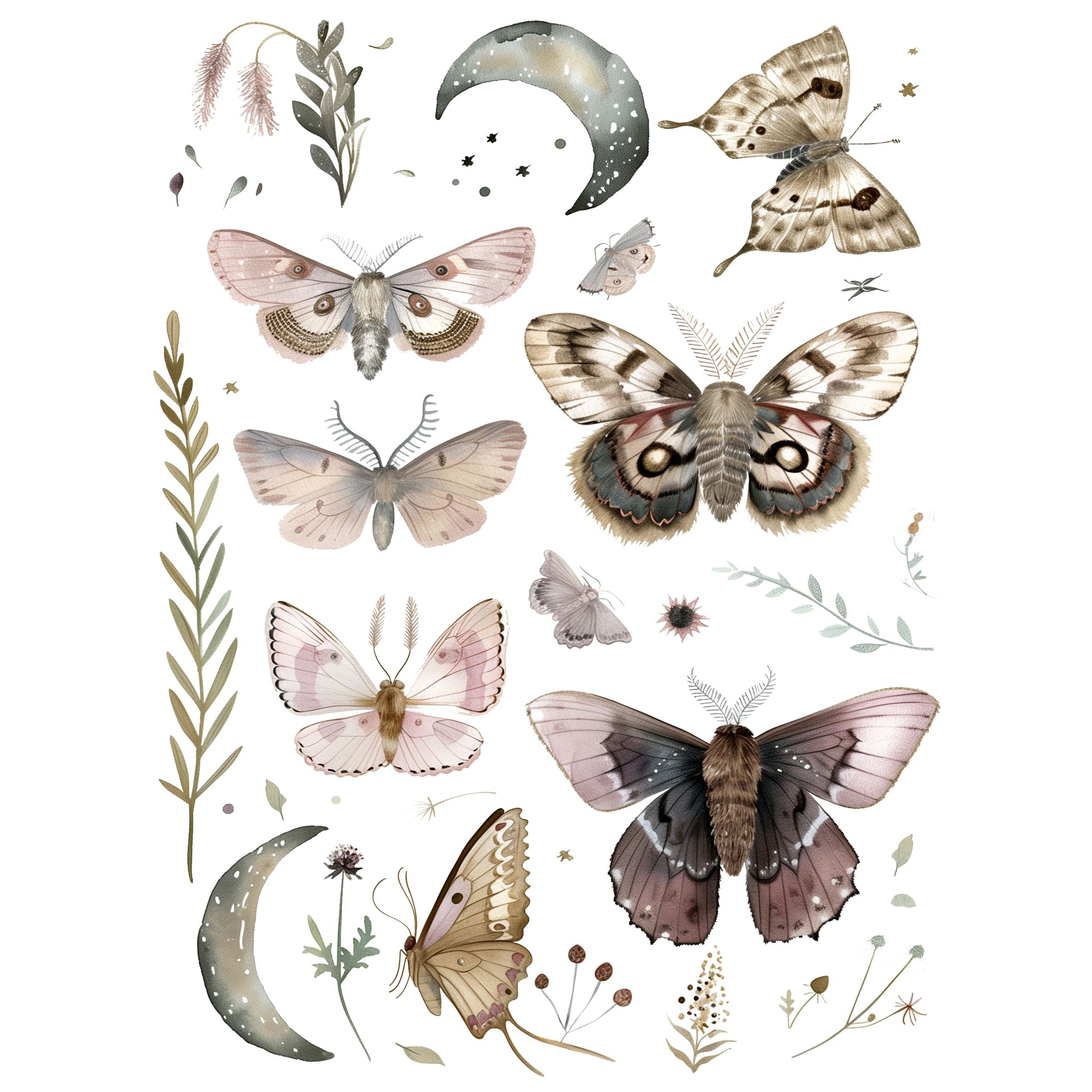 Moths Decoupage Rice Paper, 20.32 x 26.67 cm - for Decoupage Scrapbooking Craft