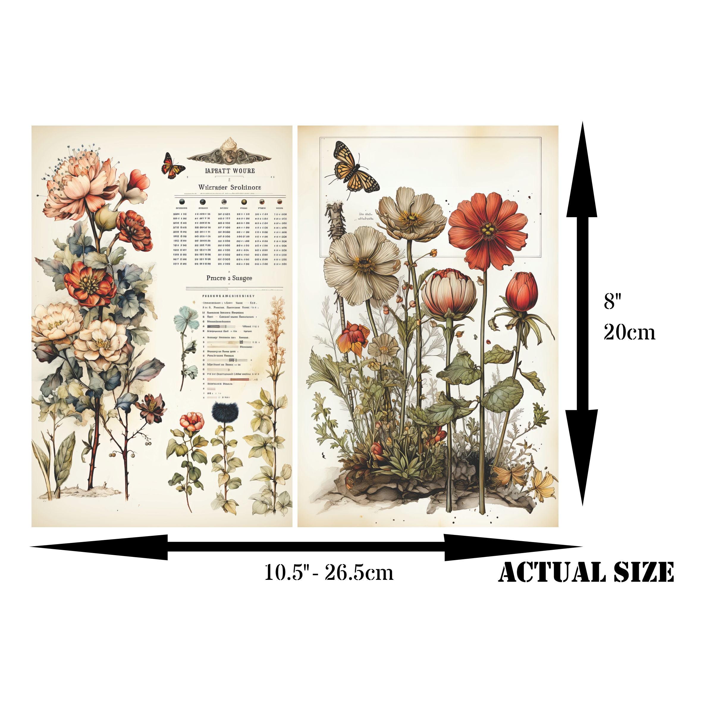 Botanical Decoupage Rice Paper, 20.32 x 26.67 cm - for Decoupage Scrapbooking Crafts