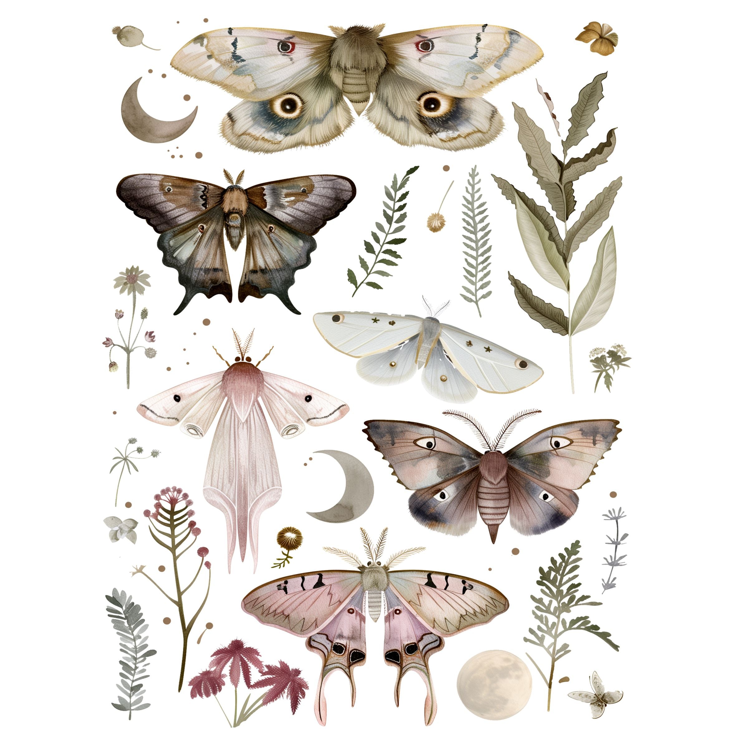 Moths Decoupage Rice Paper, 20.32 x 26.67 cm - for Decoupage Scrapbooking Craft
