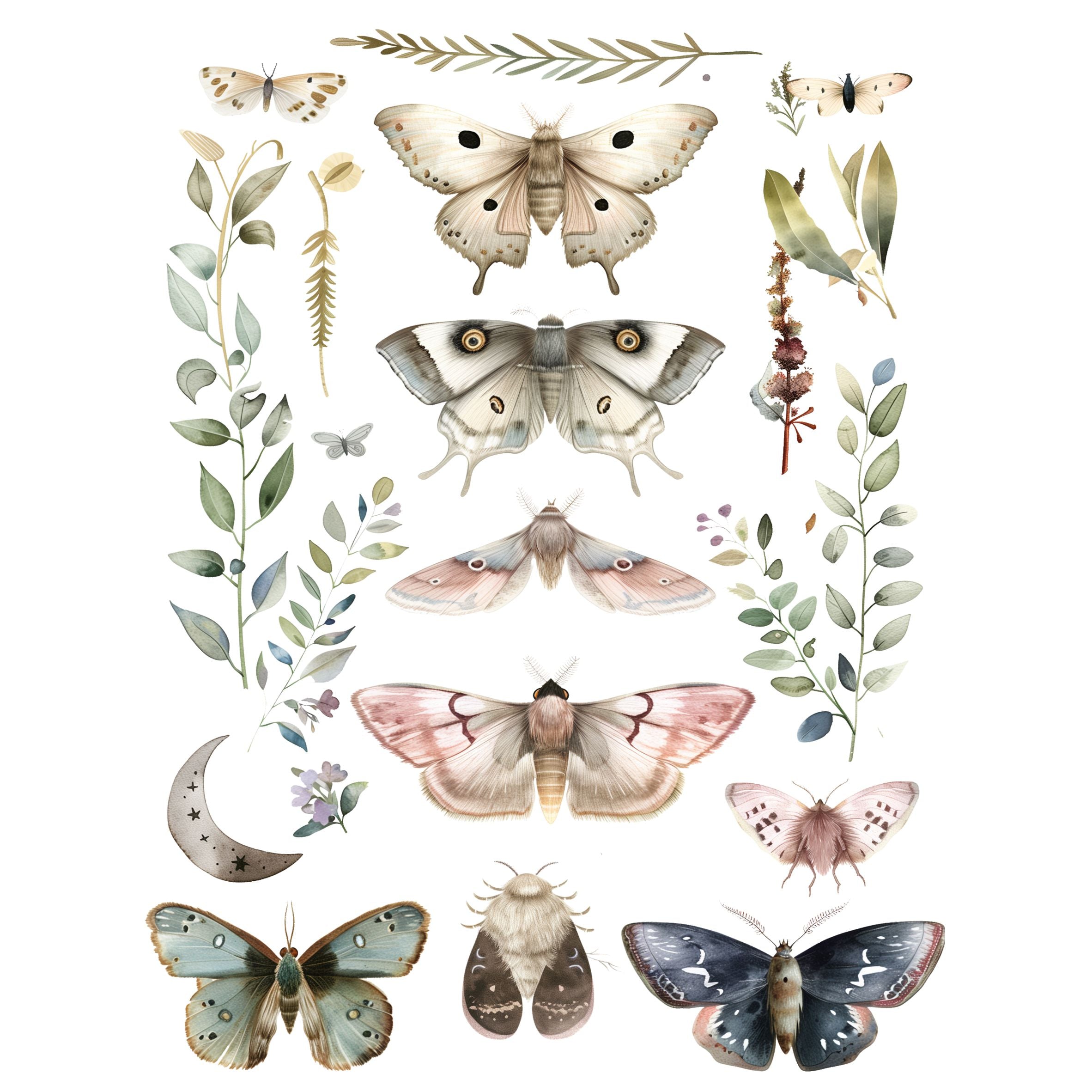 Moths Decoupage Rice Paper, 20.32 x 26.67 cm - for Decoupage Scrapbooking Craft