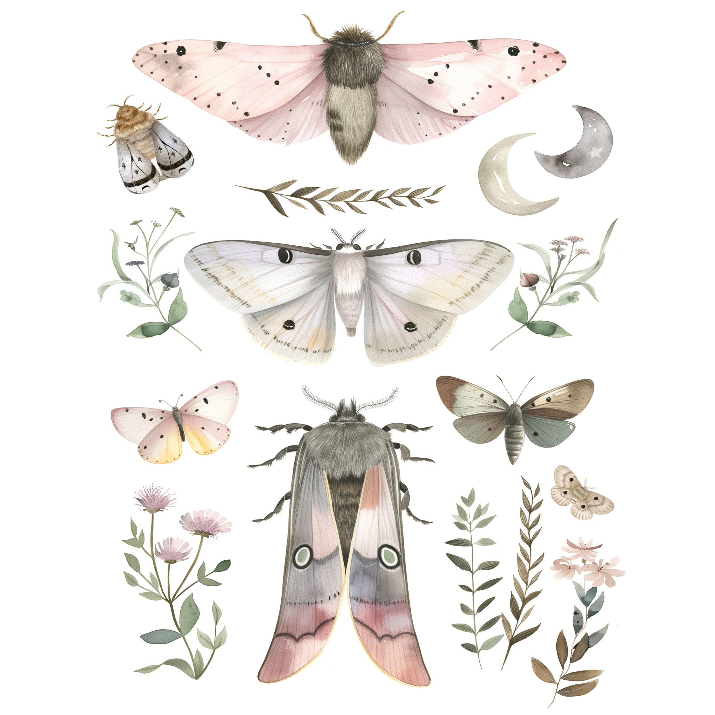 Moths Decoupage Rice Paper, 20.32 x 26.67 cm - for Decoupage Scrapbooking Craft