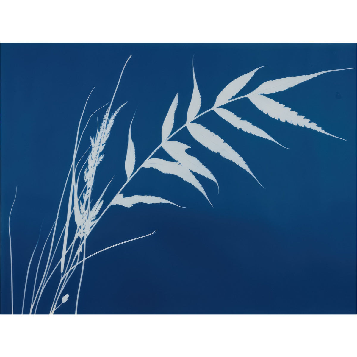 Cyanotype Rice Paper, 20.32 x 26.67 cm - Decoupage Scrapbooking Background Craft