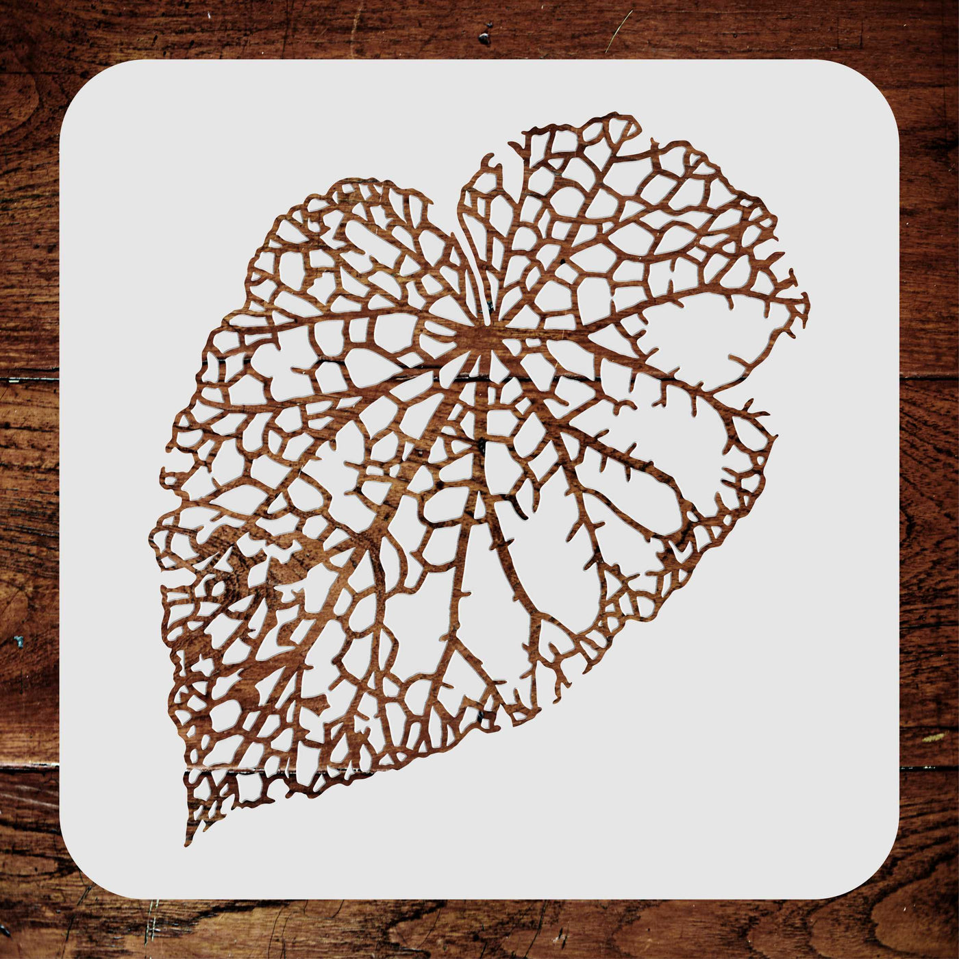 Leaf Skeleton Stencil (2pc) - Layer Dry Skeleton Leaf Art