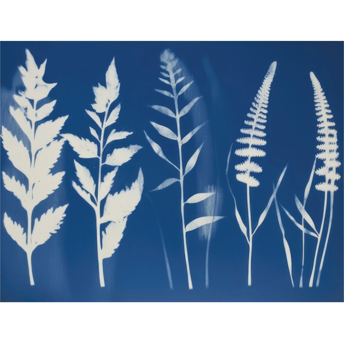 Cyanotype Rice Paper, 20.32 x 26.67 cm - Decoupage Scrapbooking Background Craft
