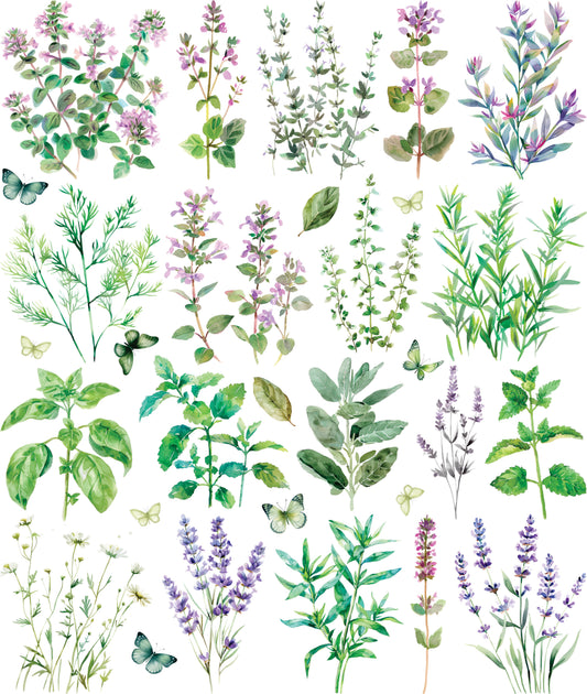 Herbs Decoupage Rice Paper, 29.21 x 36.83 cm - for Journal Cards Crafts