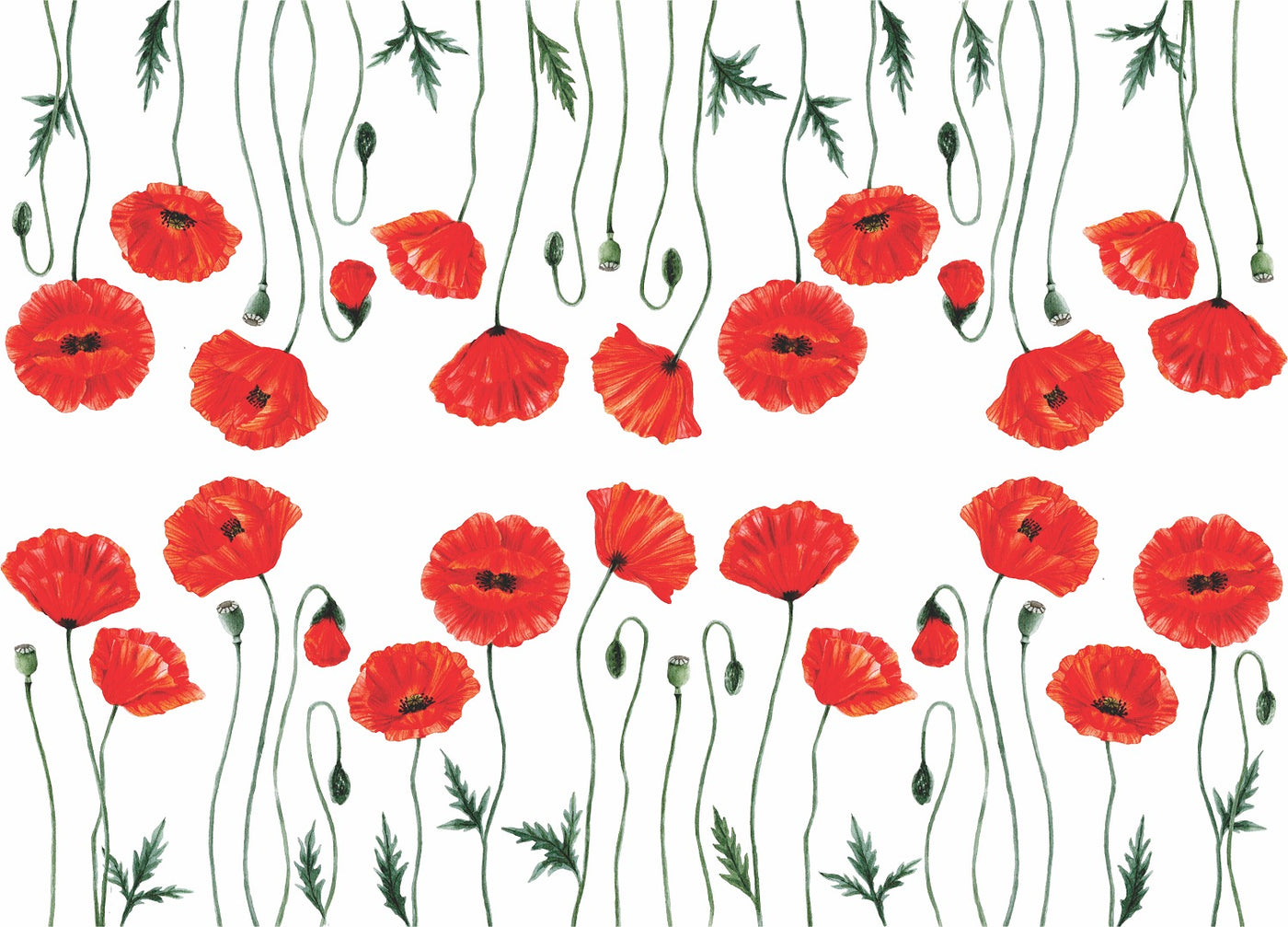 Poppy 2 Border Rice Paper- 18 Sheets Printed Mulberry Paper Border 36gsm