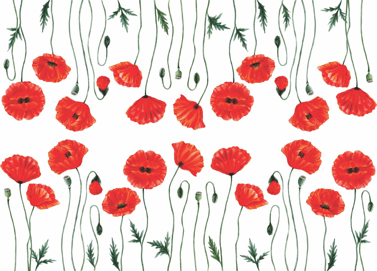 Poppy 2 Border Rice Paper- 18 Sheets Printed Mulberry Paper Border 36gsm