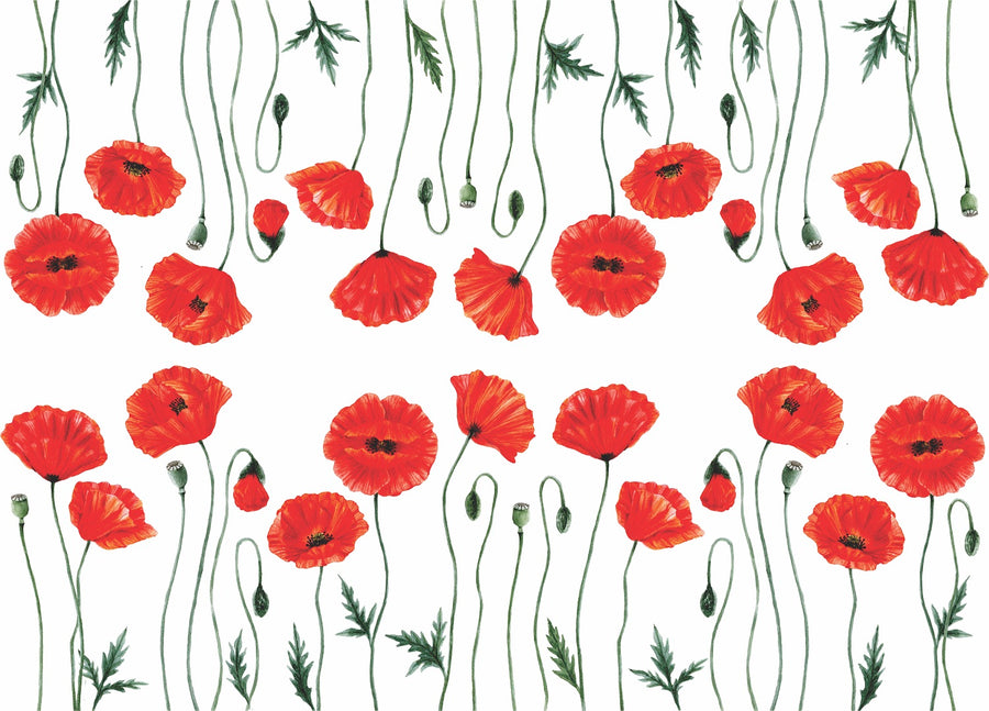 Poppy 2 Border Rice Paper- 18 Sheets Printed Mulberry Paper Border 36gsm