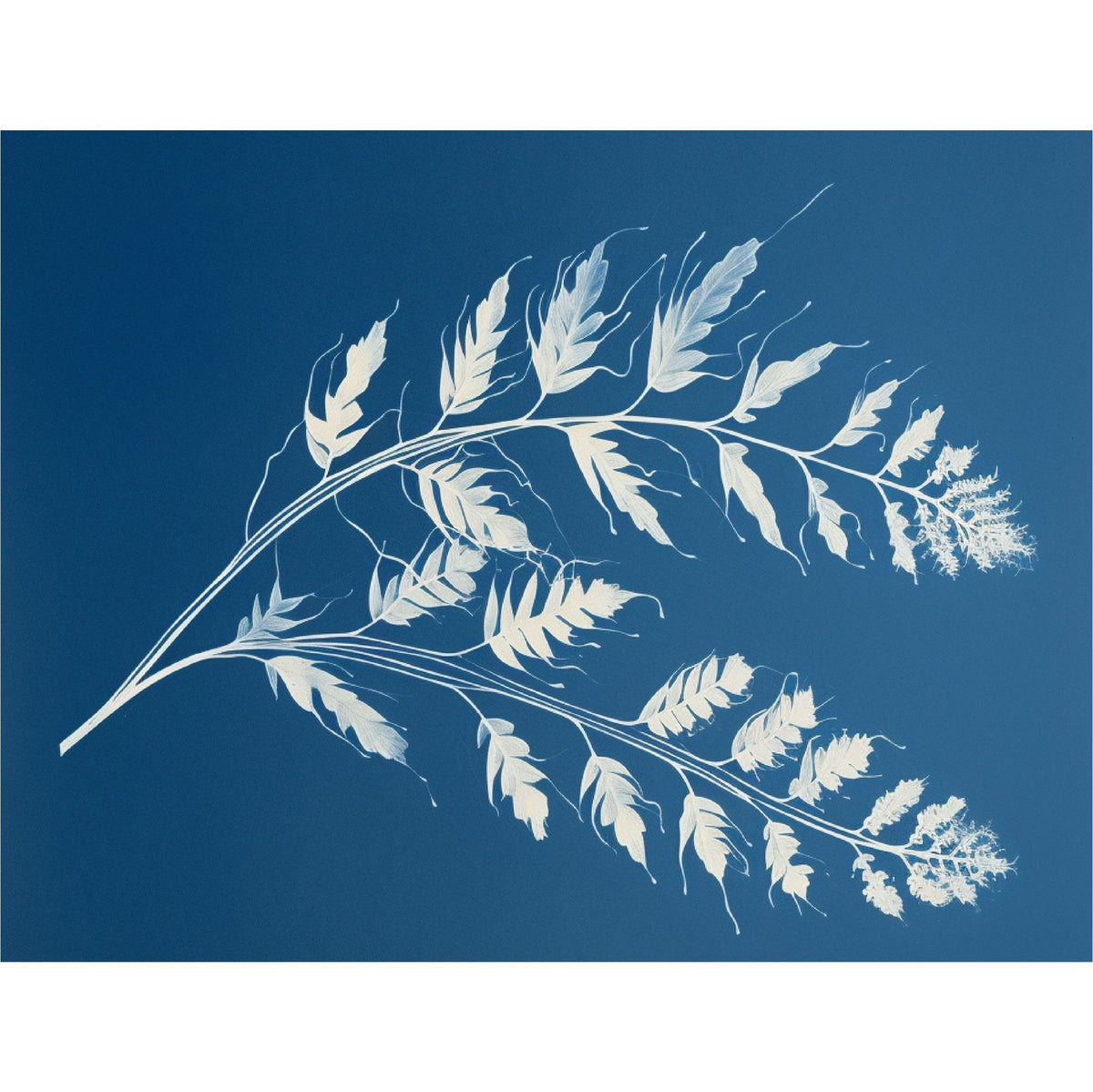 Cyanotype Rice Paper, 20.32 x 26.67 cm - Decoupage Scrapbooking Background Craft