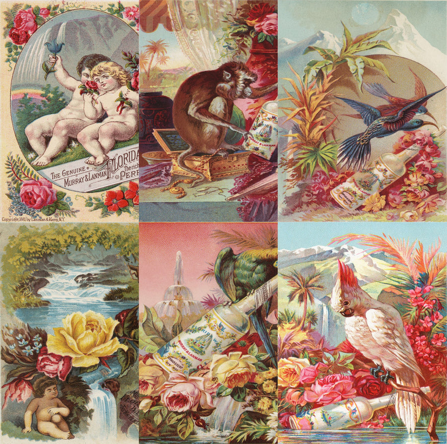Florida Water Rice Paper- 6 Unique Printed Mulberry Paper Pages 30gsm