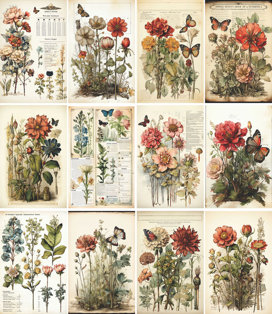 Botanical Decoupage Rice Paper, 20.32 x 26.67 cm - for Decoupage Scrapbooking Crafts