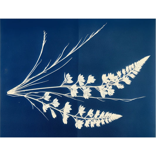 Cyanotype Rice Paper, 20.32 x 26.67 cm - Decoupage Scrapbooking Background Craft