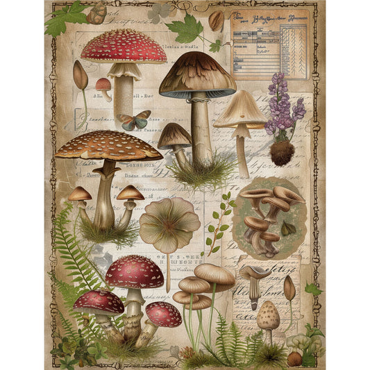 Mushrooms Decoupage Rice Paper, 20.32 x 26.67 cm - for Scrapbooking Cards Crafts