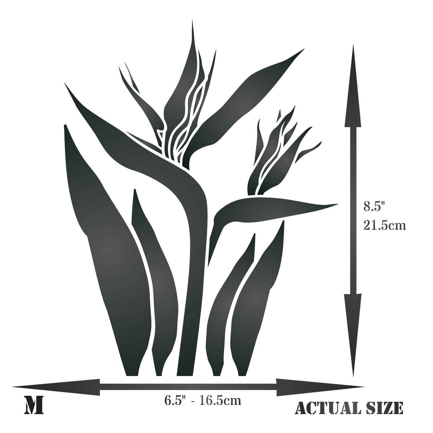 Strelitzia Stencil - Reusable Mylar Bird of Paradise Flower Design for Painting