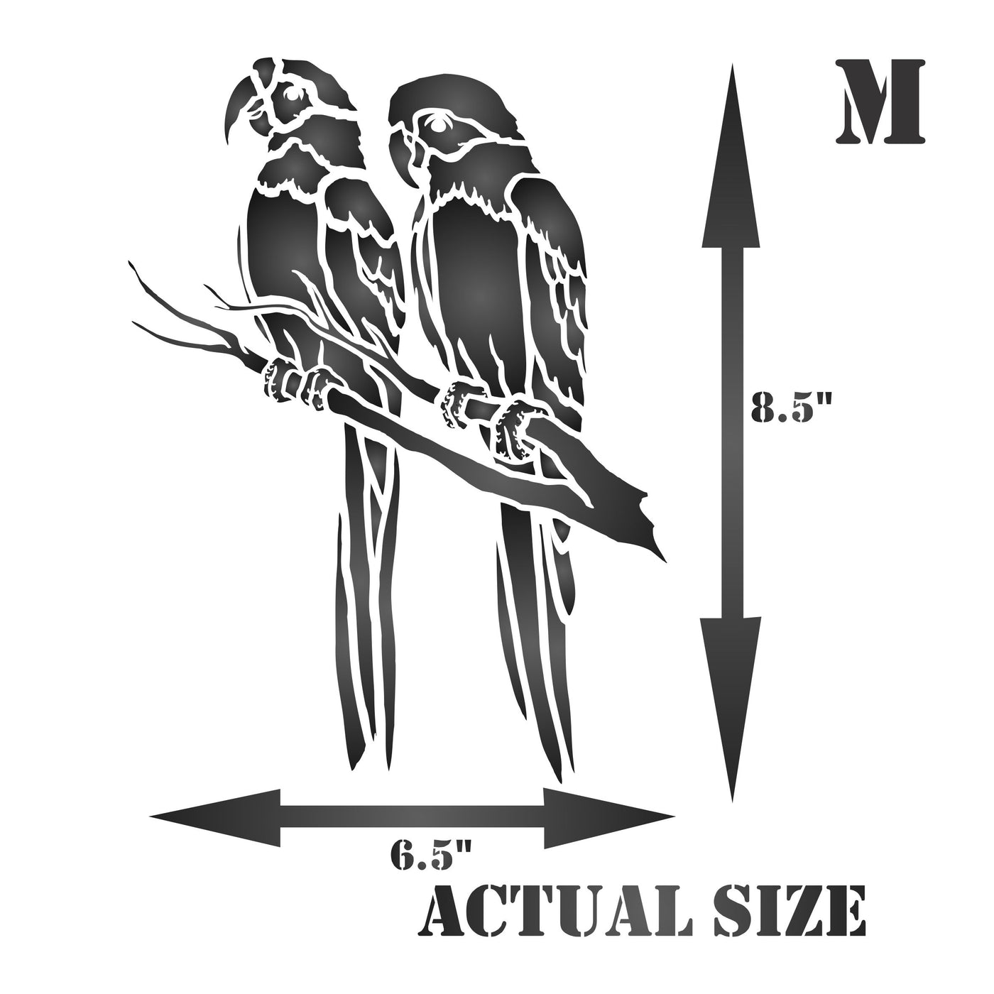 Parrot Stencil - Animal Wildlife Macaw Bird