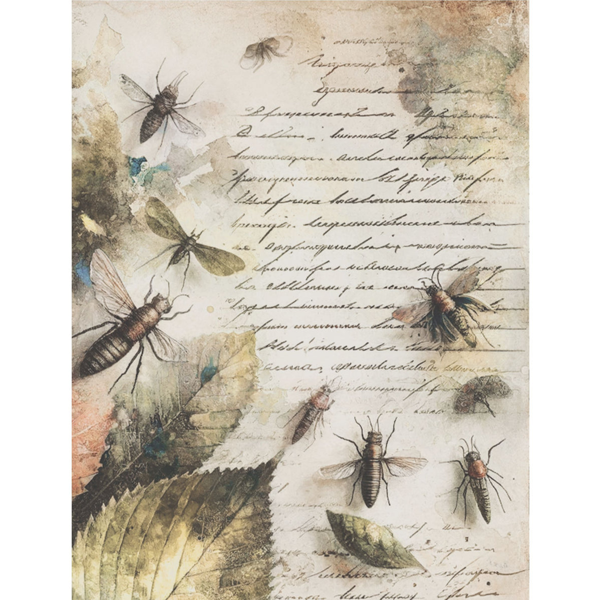 Bugs n Leaves Rice Paper, 20.32 x 26.67 cm - for Decoupage Scrapbooking Cards Crafts