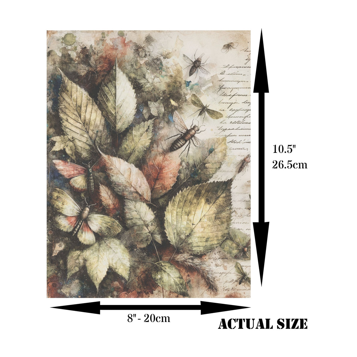 Bugs n Leaves Rice Paper, 20.32 x 26.67 cm - for Decoupage Scrapbooking Cards Crafts