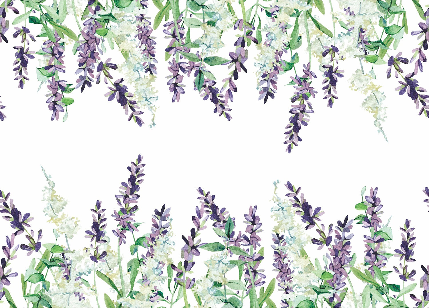 Lavender 2 Border Rice Paper- 13 Sheets Printed Mulberry Paper Border 36gsm