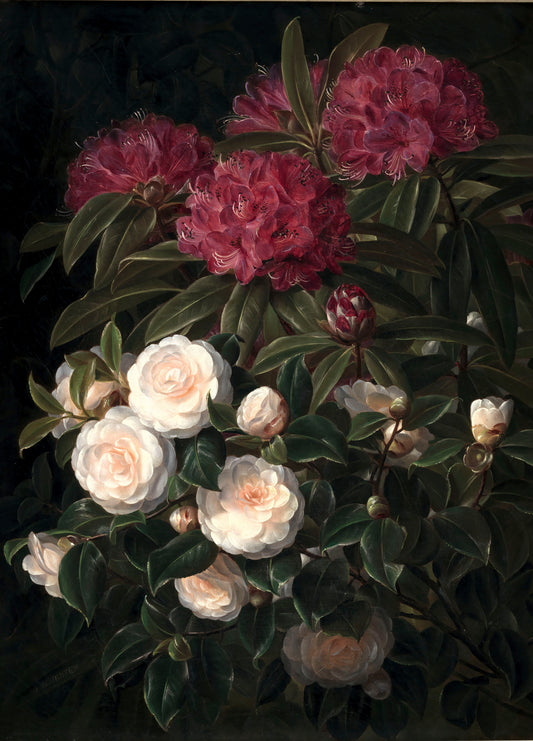 Camelia n Rododendron Rice Paper, 29.21 x 40.64 cm - for Decoupage Print Crafts