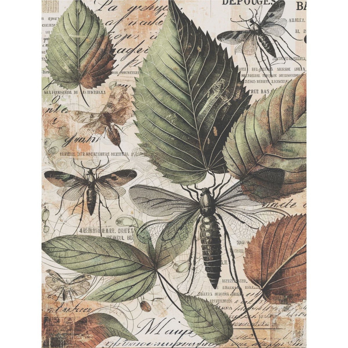 Bugs n Leaves Rice Paper, 20.32 x 26.67 cm - for Decoupage Scrapbooking Cards Crafts