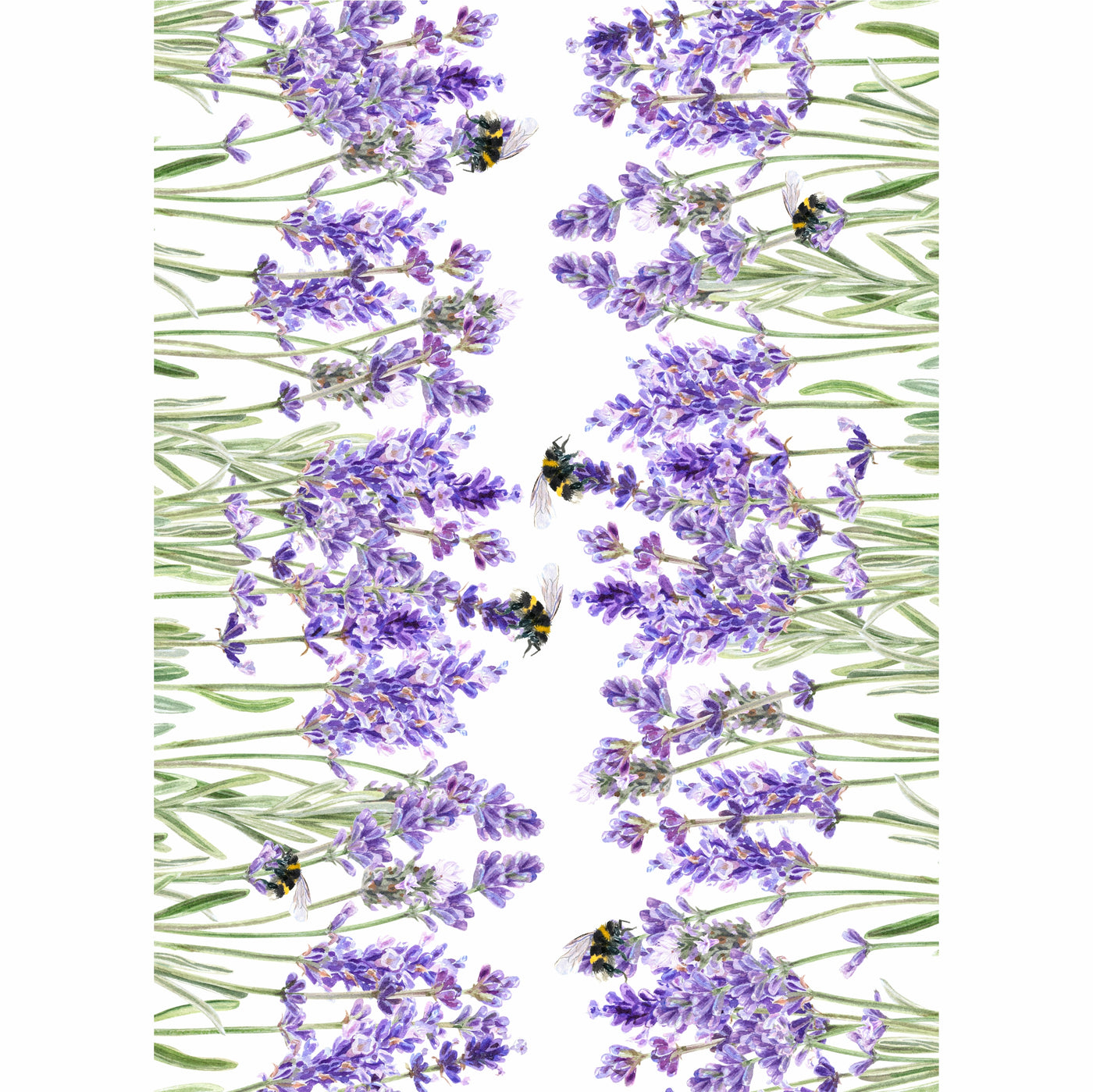 Lavender Border Rice Paper- 8 Sheets Printed Mulberry Paper Border 36gsm