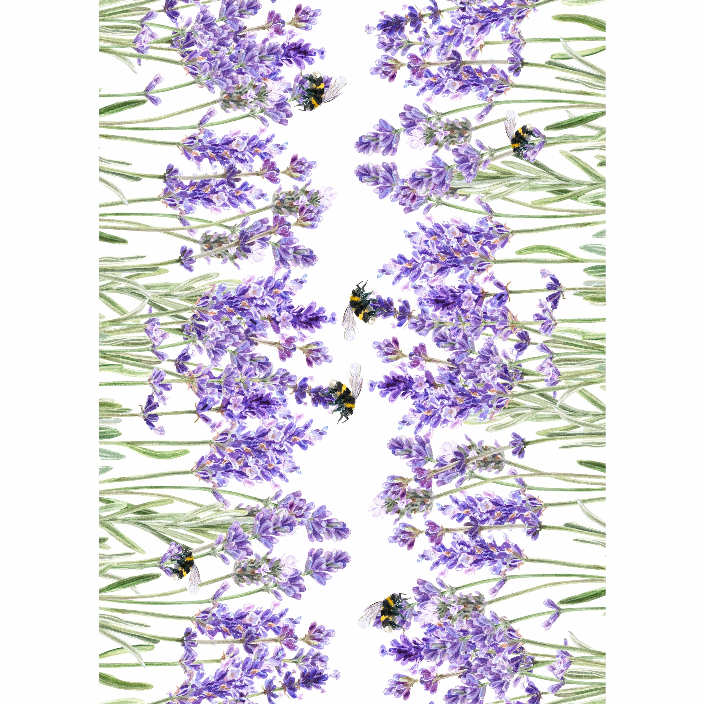 Lavender Border Rice Paper- 8 Sheets Printed Mulberry Paper Border 36gsm