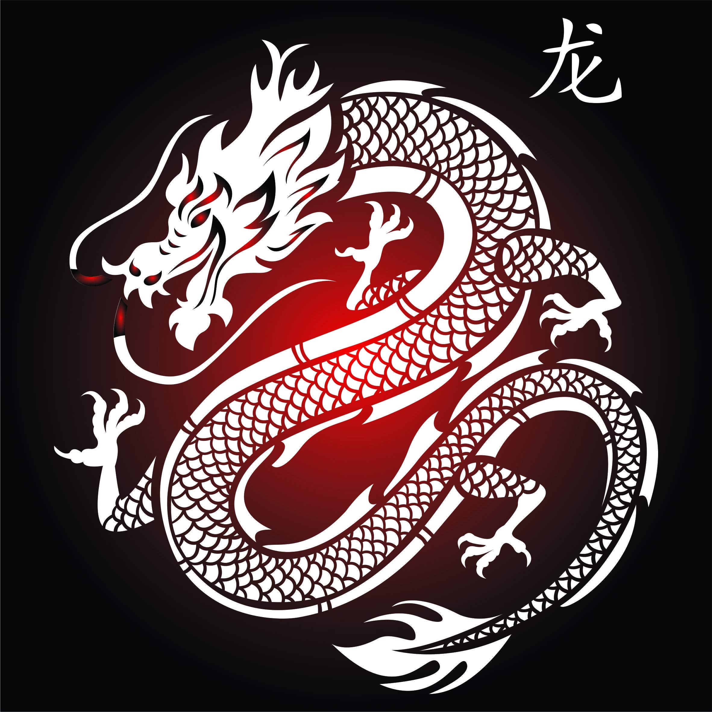 Dragon Stencil - 35.5cm x 35.5cm (L) - Reusable Chinese Asian Oriental Japanese Wall Stencil Template
