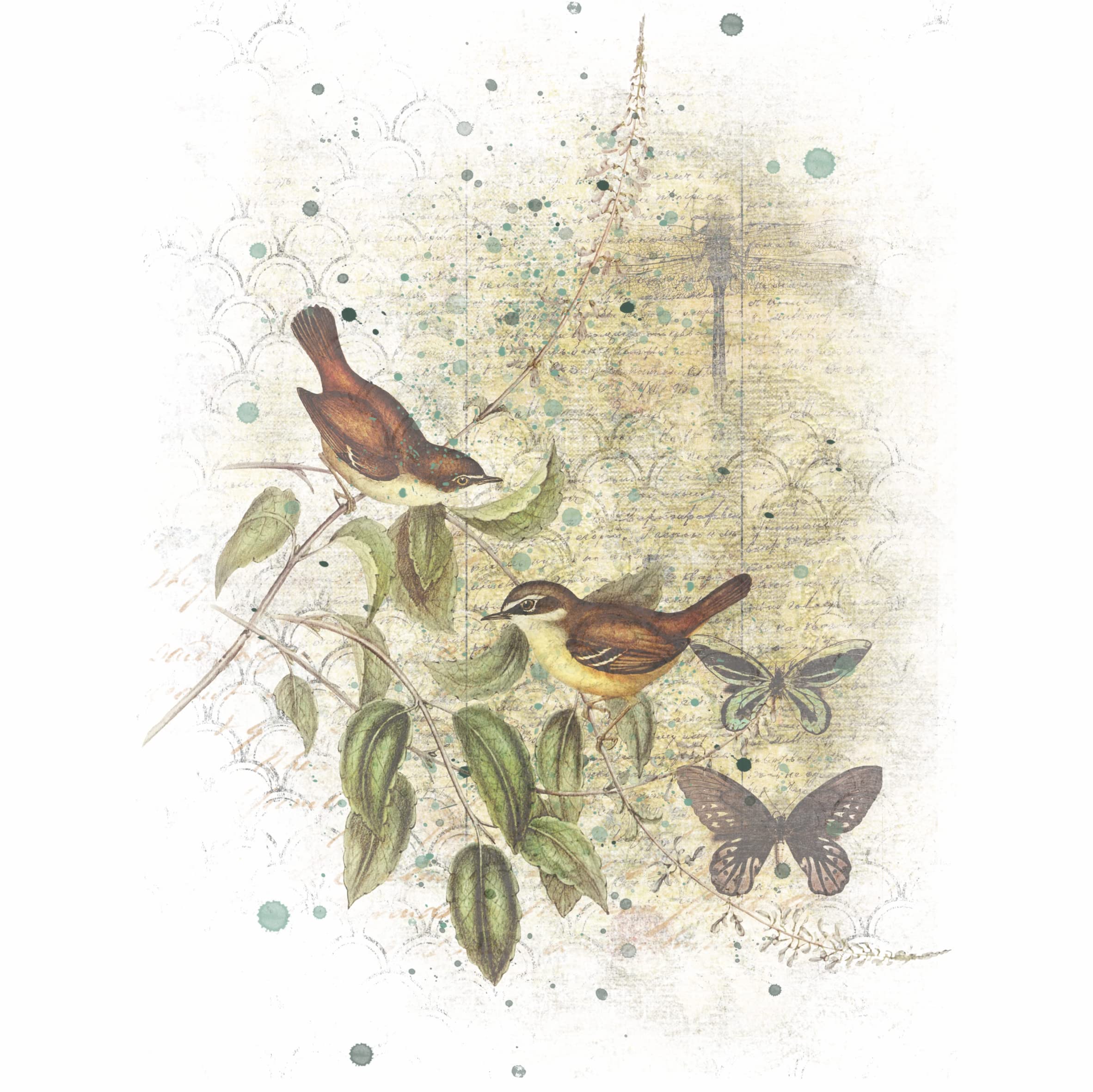 Birds in Branches Overlay Rice Paper, 20.32 x 26.67 cm - 6 Unique Printed Mulberry Paper Images 30gsm Visible Fibres for Decoupage Crafts Mixed Media Collage Art