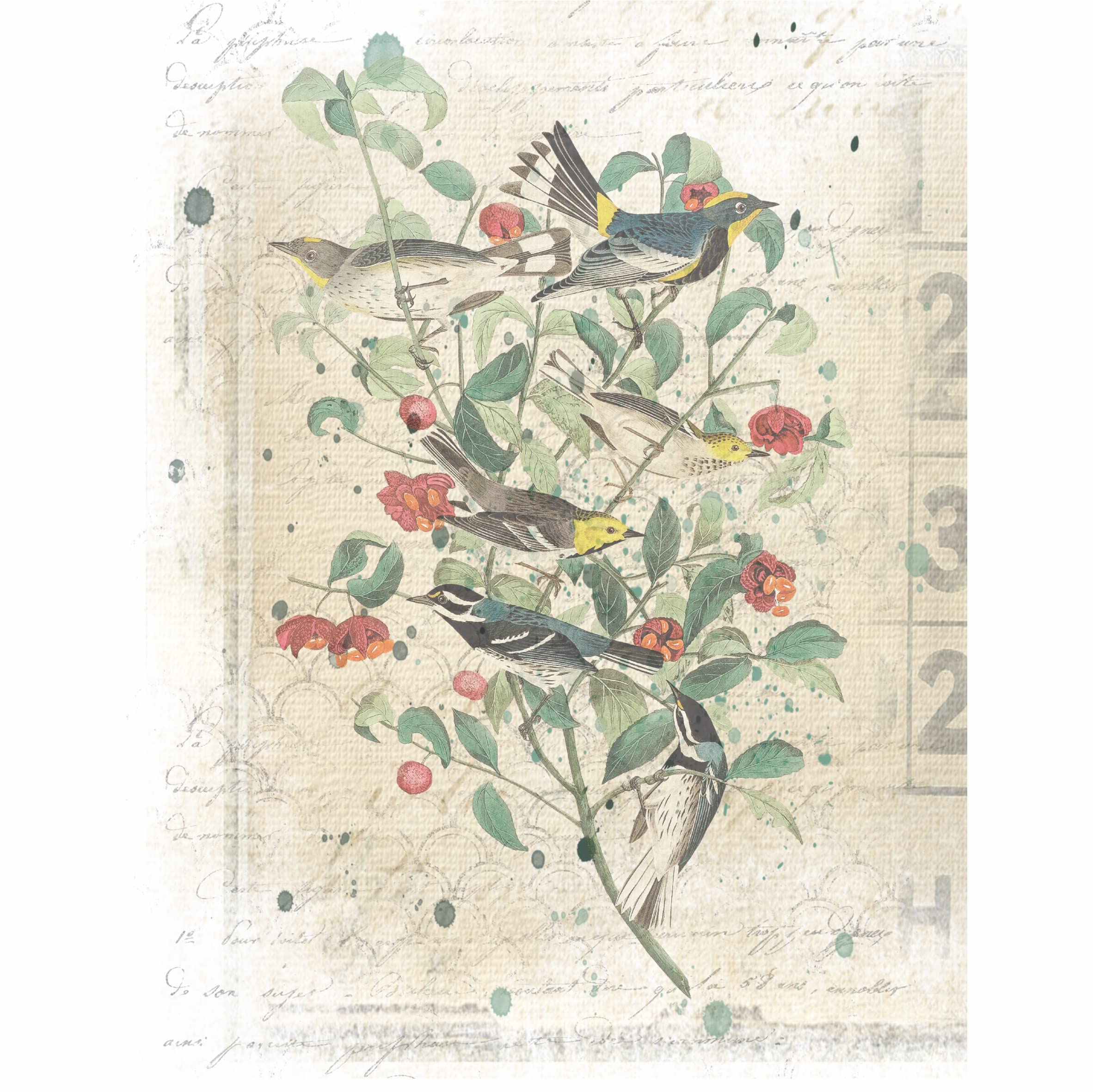 Birds in Branches Overlay Rice Paper, 20.32 x 26.67 cm - 6 Unique Printed Mulberry Paper Images 30gsm Visible Fibres for Decoupage Crafts Mixed Media Collage Art