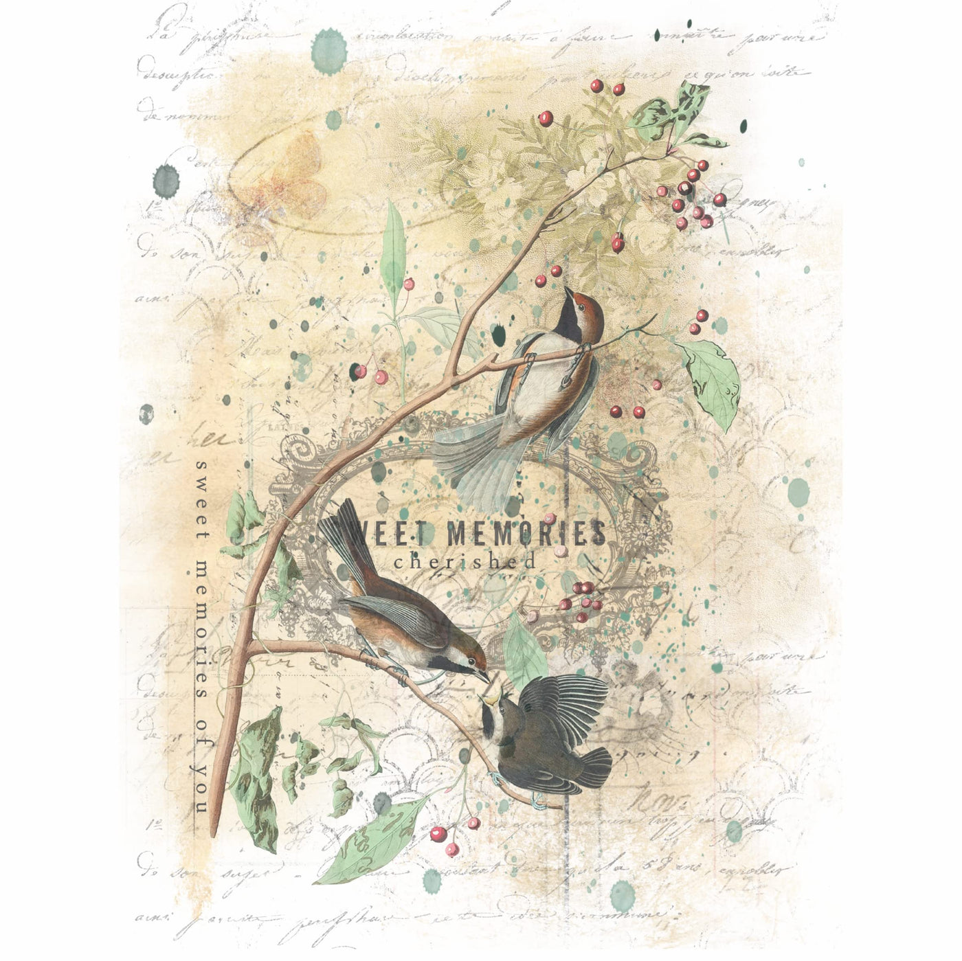 Birds in Branches Overlay Rice Paper, 20.32 x 26.67 cm - 6 Unique Printed Mulberry Paper Images 30gsm Visible Fibres for Decoupage Crafts Mixed Media Collage Art