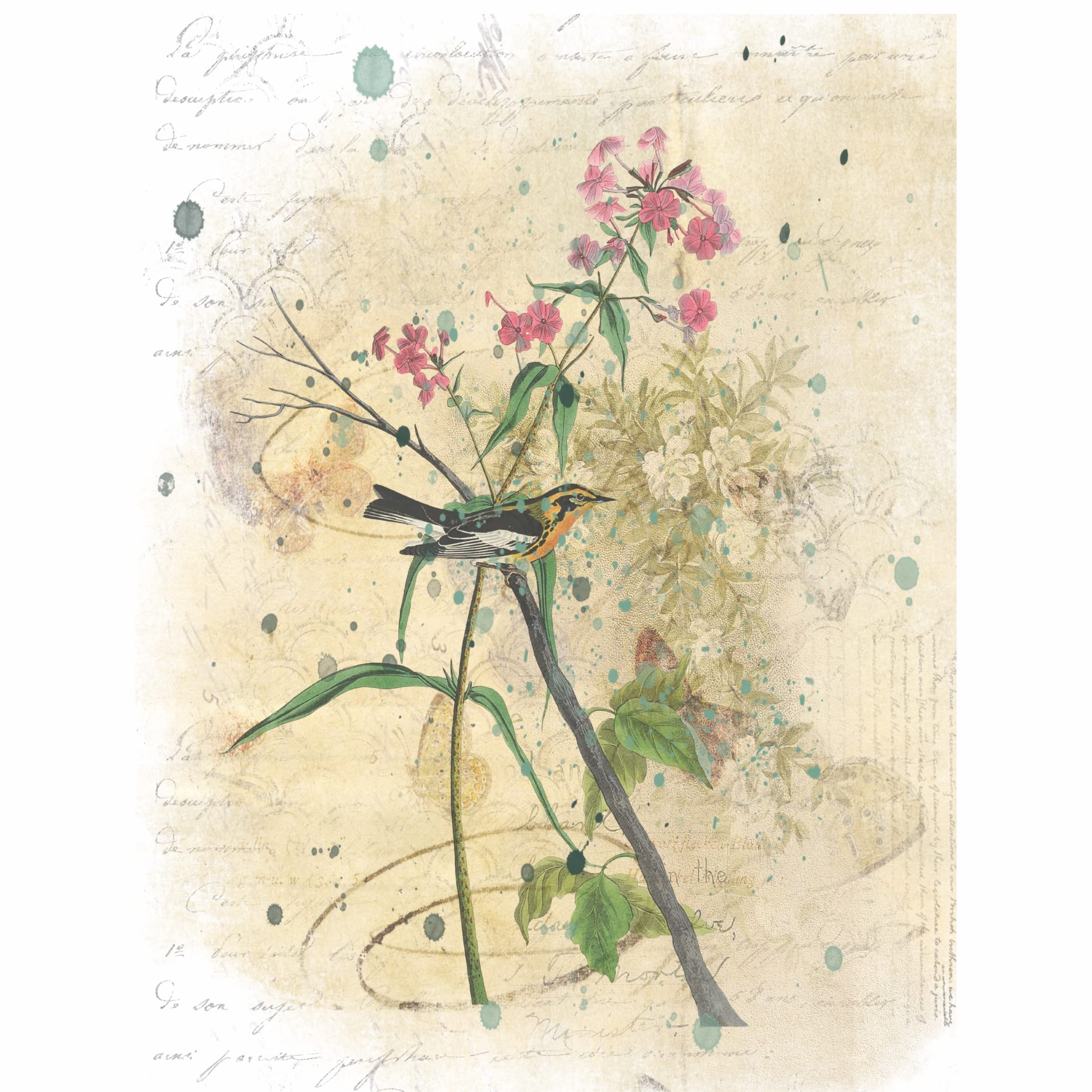 Birds in Branches Overlay Rice Paper, 20.32 x 26.67 cm - 6 Unique Printed Mulberry Paper Images 30gsm Visible Fibres for Decoupage Crafts Mixed Media Collage Art