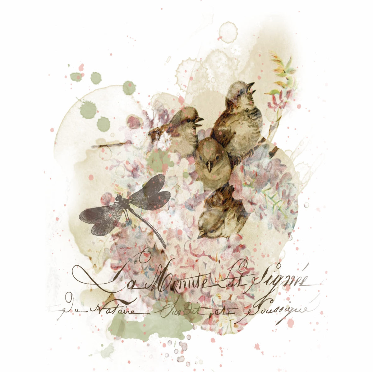 Roses Birds Overlay Rice Paper, 20.32 x 26.67 cm - 6 x Different Printed Mulberry Paper Images 30gsm Visible Fibres for Decoupage Crafts Mixed Media Collage Art