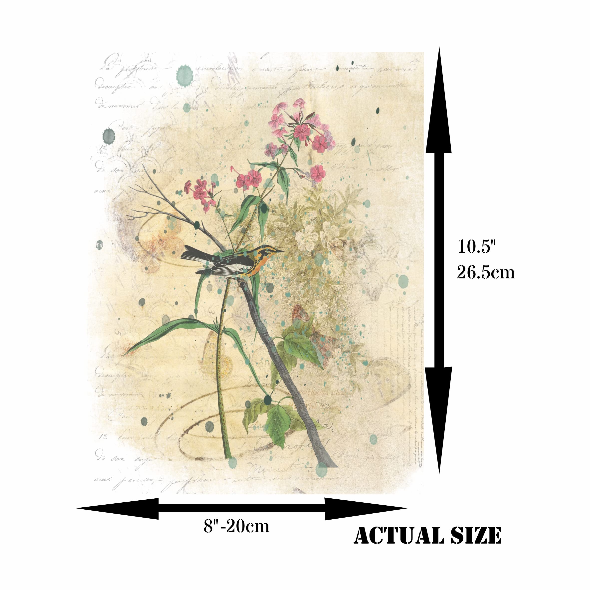 Birds in Branches Overlay Rice Paper, 20.32 x 26.67 cm - 6 Unique Printed Mulberry Paper Images 30gsm Visible Fibres for Decoupage Crafts Mixed Media Collage Art