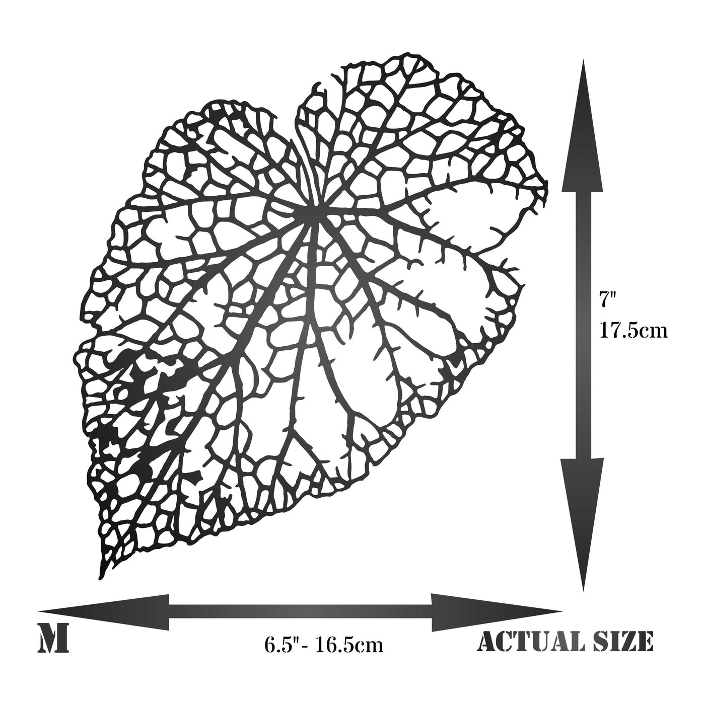 Leaf Skeleton Stencil (2pc) - Layer Dry Skeleton Leaf Art