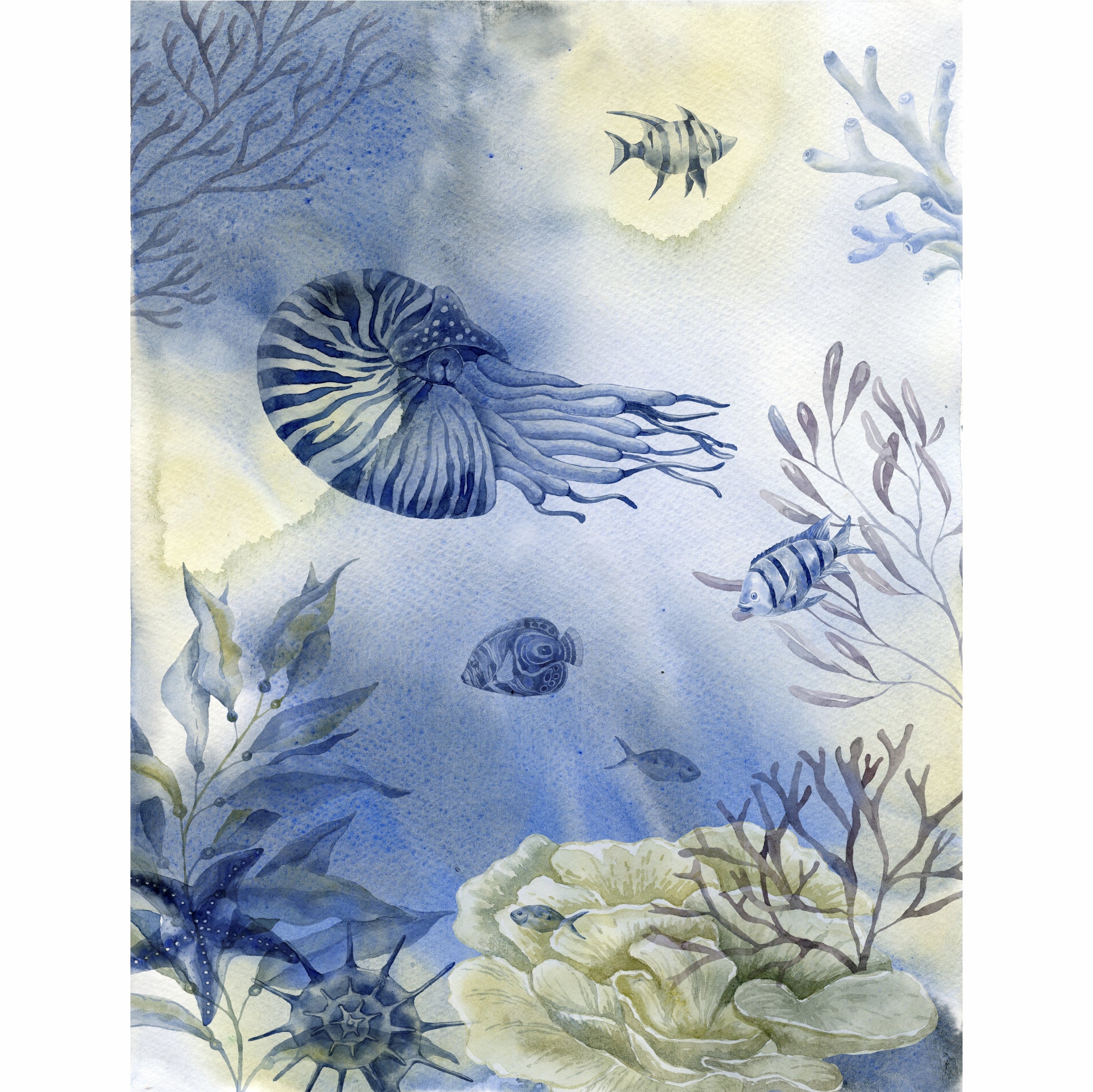 Ocean Reef Rice Paper- 6 x Different Printed Mulberry Paper Images 30gsm