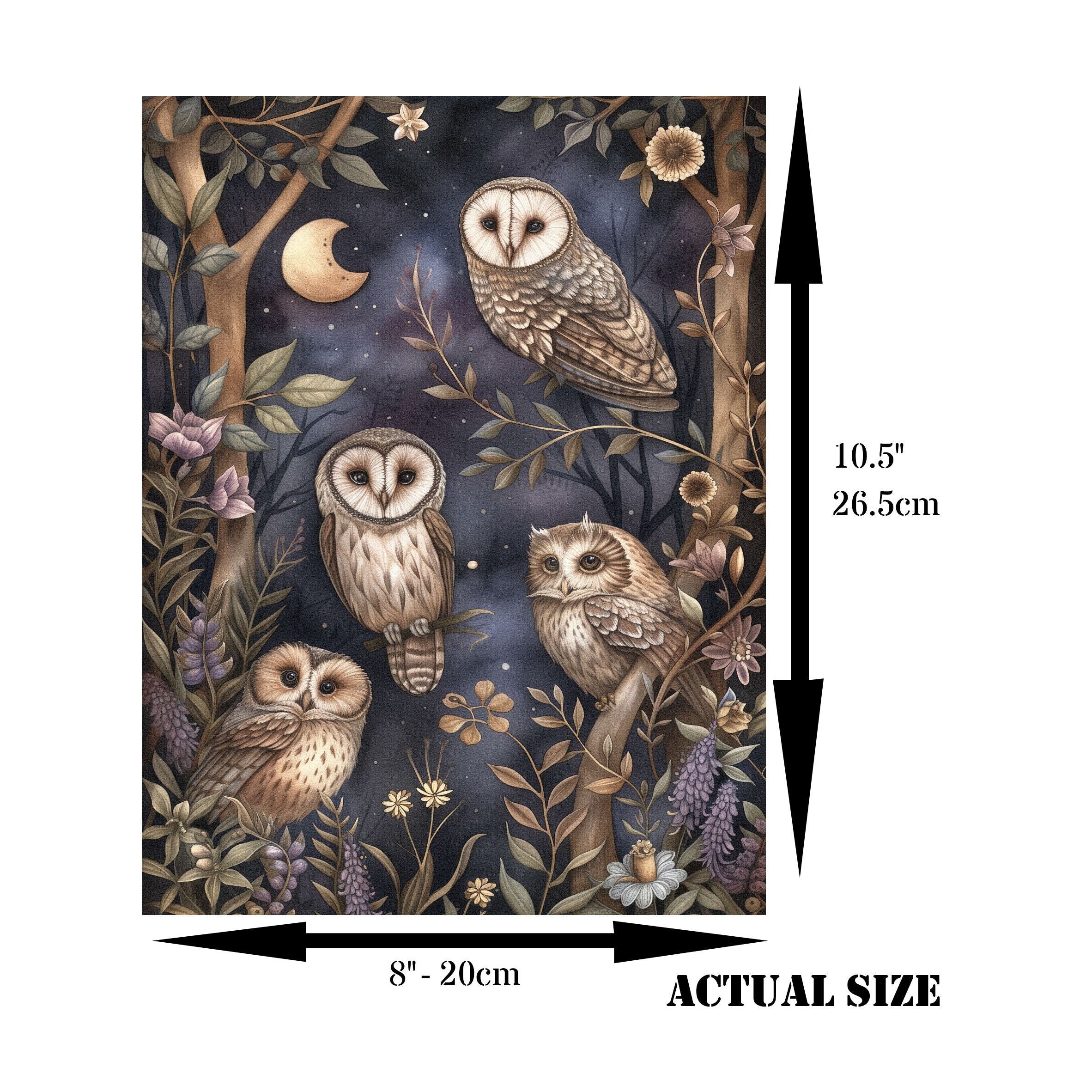 Owls Decoupage Rice Paper, 8 x 10.5 inch - for Scrapbooking Cards Crafts