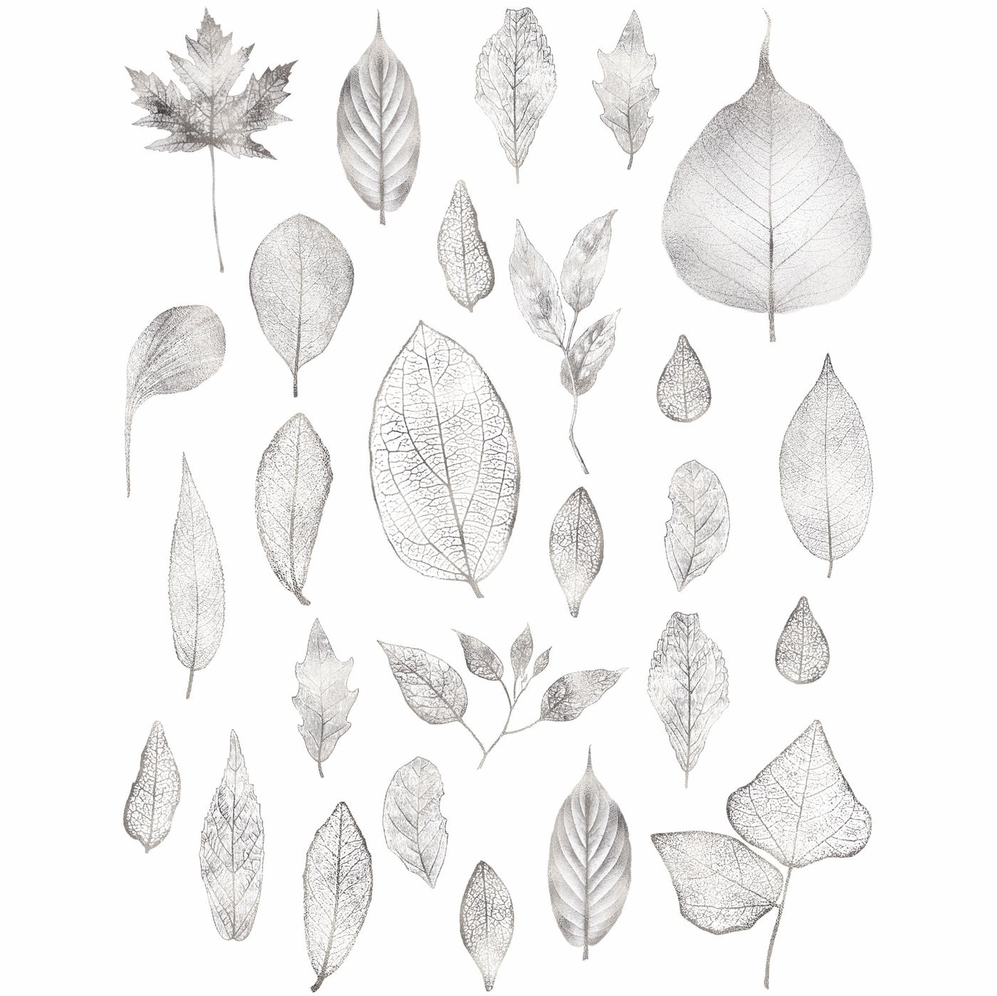 Gold & Silver Leaf Rice Paper- 6 Unique Leaves Mulberry Paper Overlay 30gsm