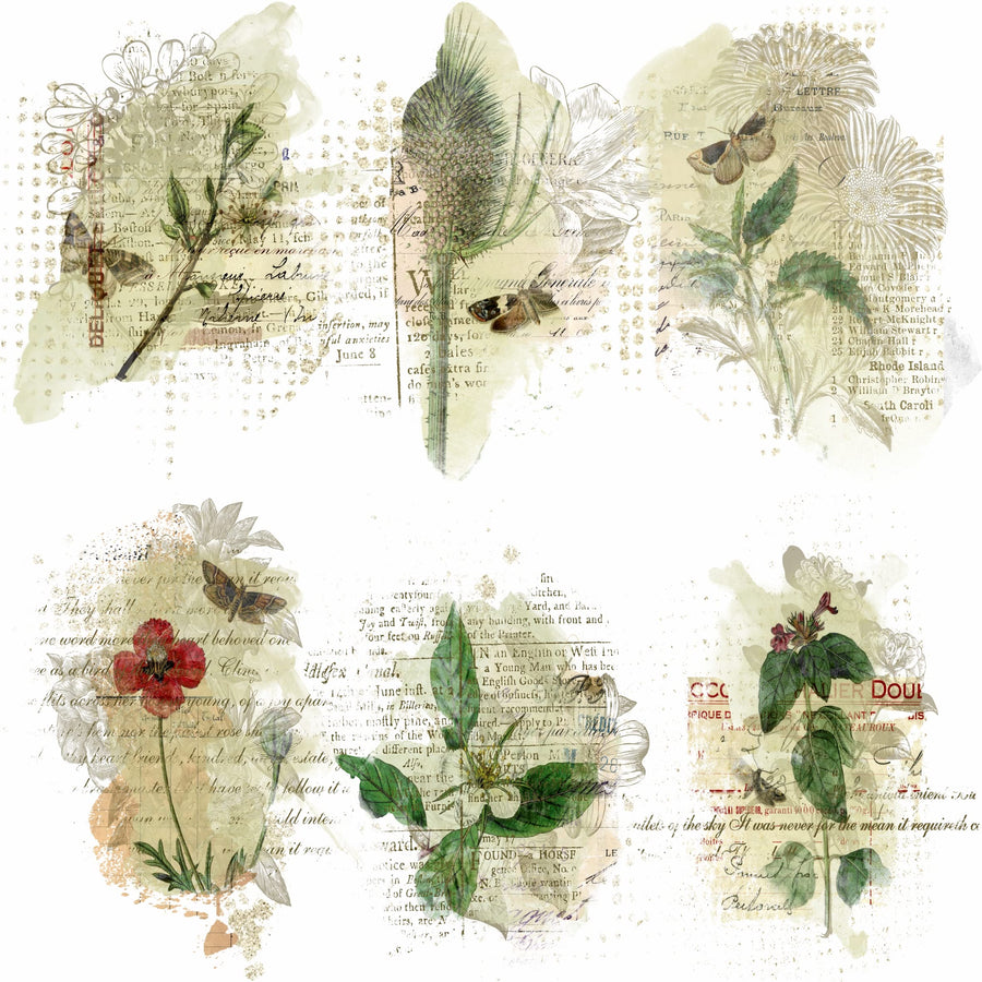 Greenery Overlay Rice Paper, 20.32 x 26.67 cm - 6 x Different Printed Mulberry Paper Images 30gsm Visible Fibres for Decoupage Crafts Mixed Media Collage Art