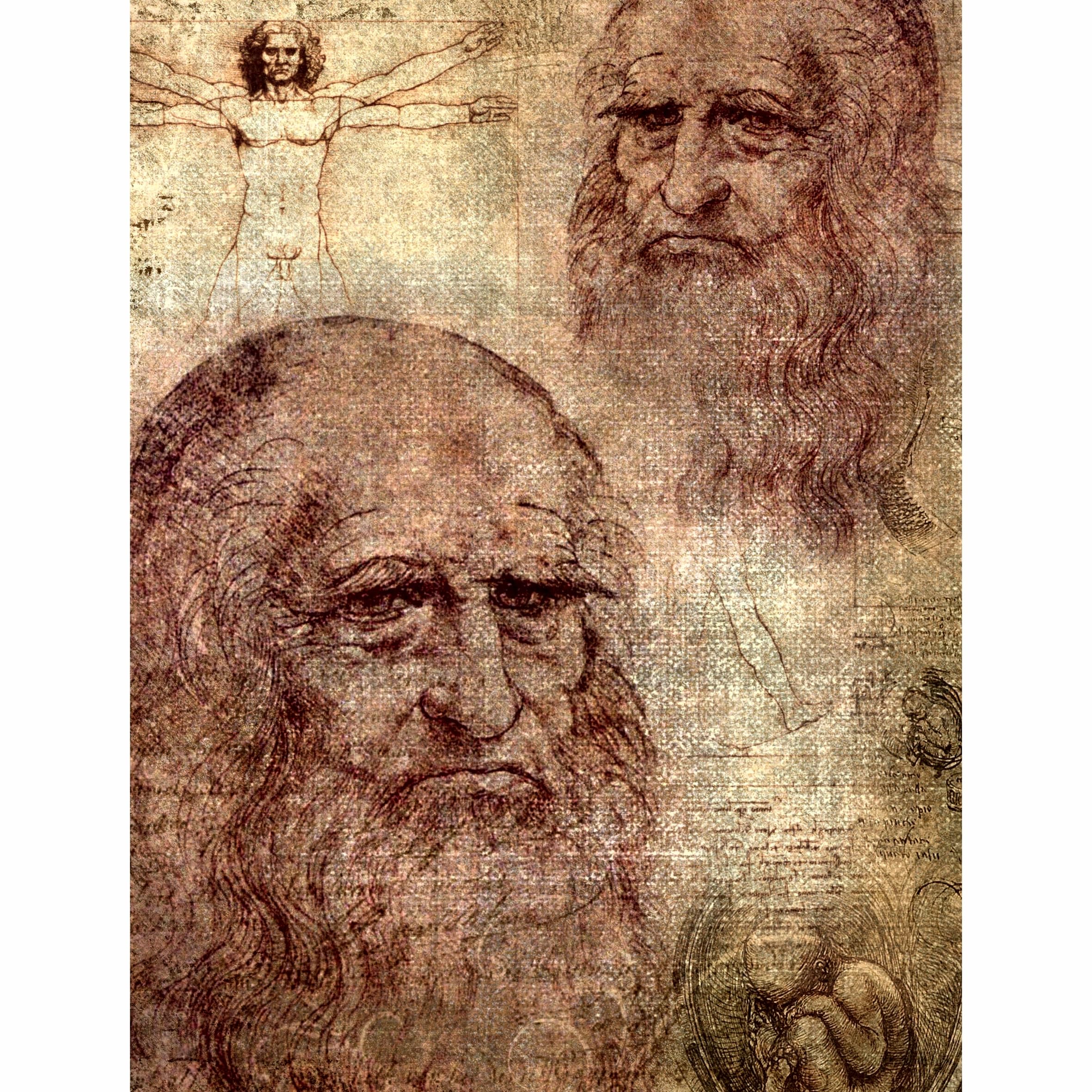 da Vinci Theme Mulberry Rice Paper, 20.32 x 26.67 cm - 6 Unique Printed Mulberry Paper Images 30gsm Visible Fibres for Decoupage Crafts Mixed Media Collage Art