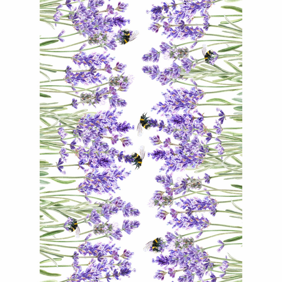 Lavender Border Rice Paper, 29.21 x 40.64 cm - 3 sheets Printed Mulberry Paper Border Images 36gsm Visible Fibres to Decoupage Furniture Renovation Crafts