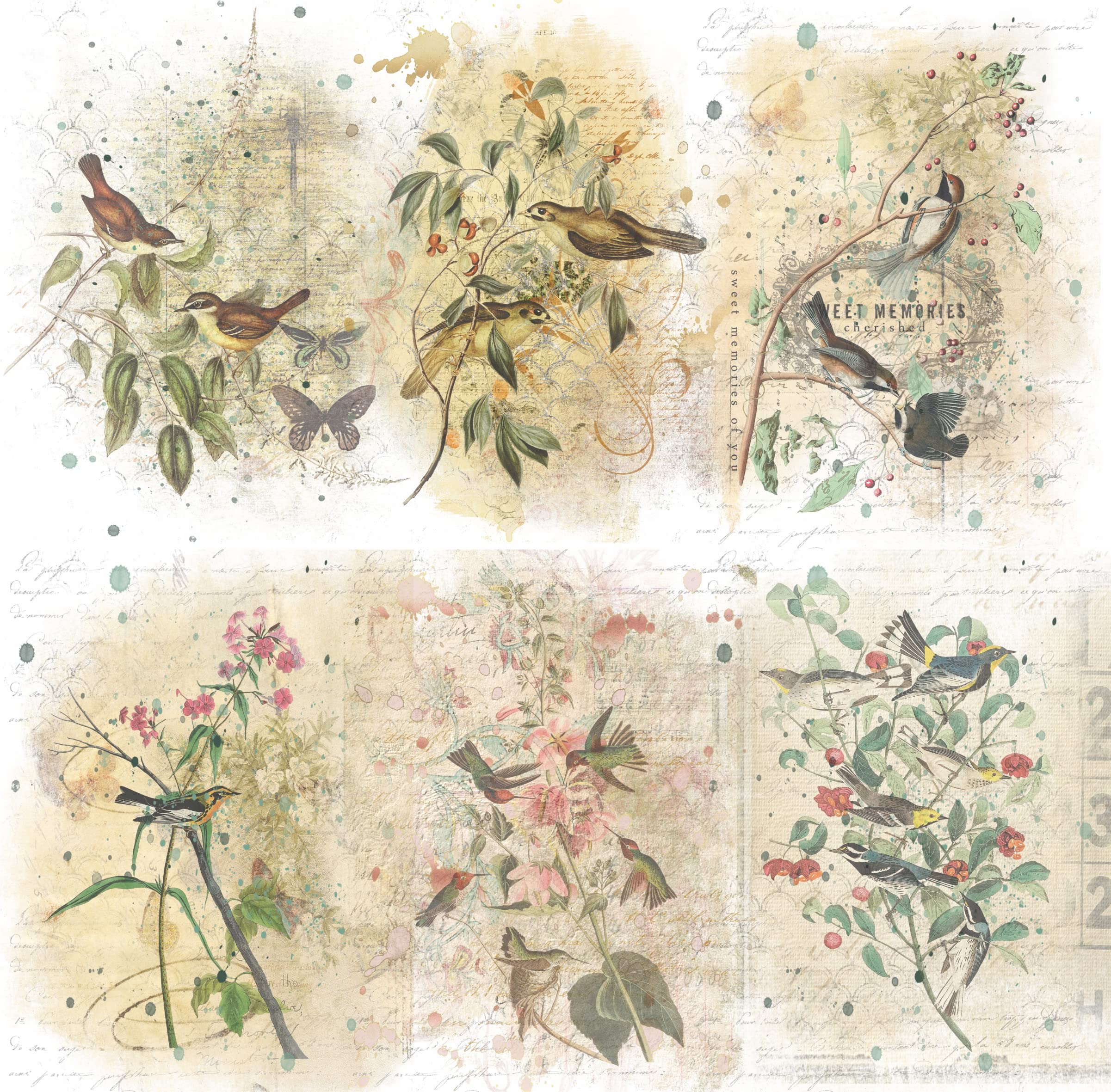 Birds in Branches Overlay Rice Paper, 20.32 x 26.67 cm - 6 Unique Printed Mulberry Paper Images 30gsm Visible Fibres for Decoupage Crafts Mixed Media Collage Art