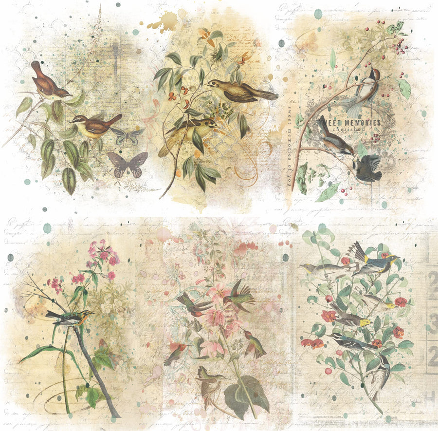 Birds in Branches Overlay Rice Paper, 20.32 x 26.67 cm - 6 Unique Printed Mulberry Paper Images 30gsm Visible Fibres for Decoupage Crafts Mixed Media Collage Art